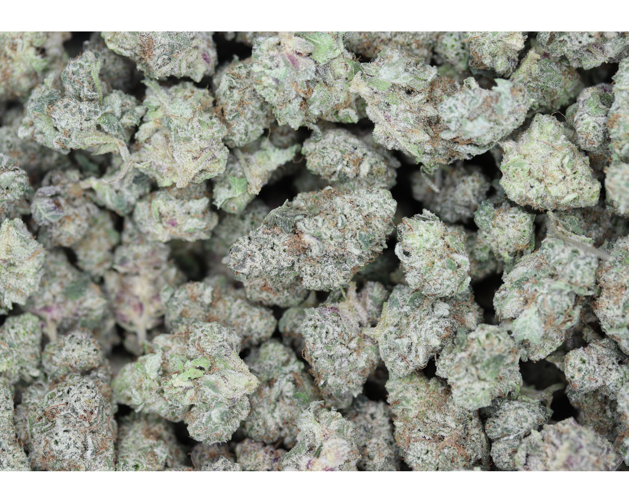 Poison OG Smalls All Strains Cannabis Flower Poison OG Smalls All Strains Cannabis Flower