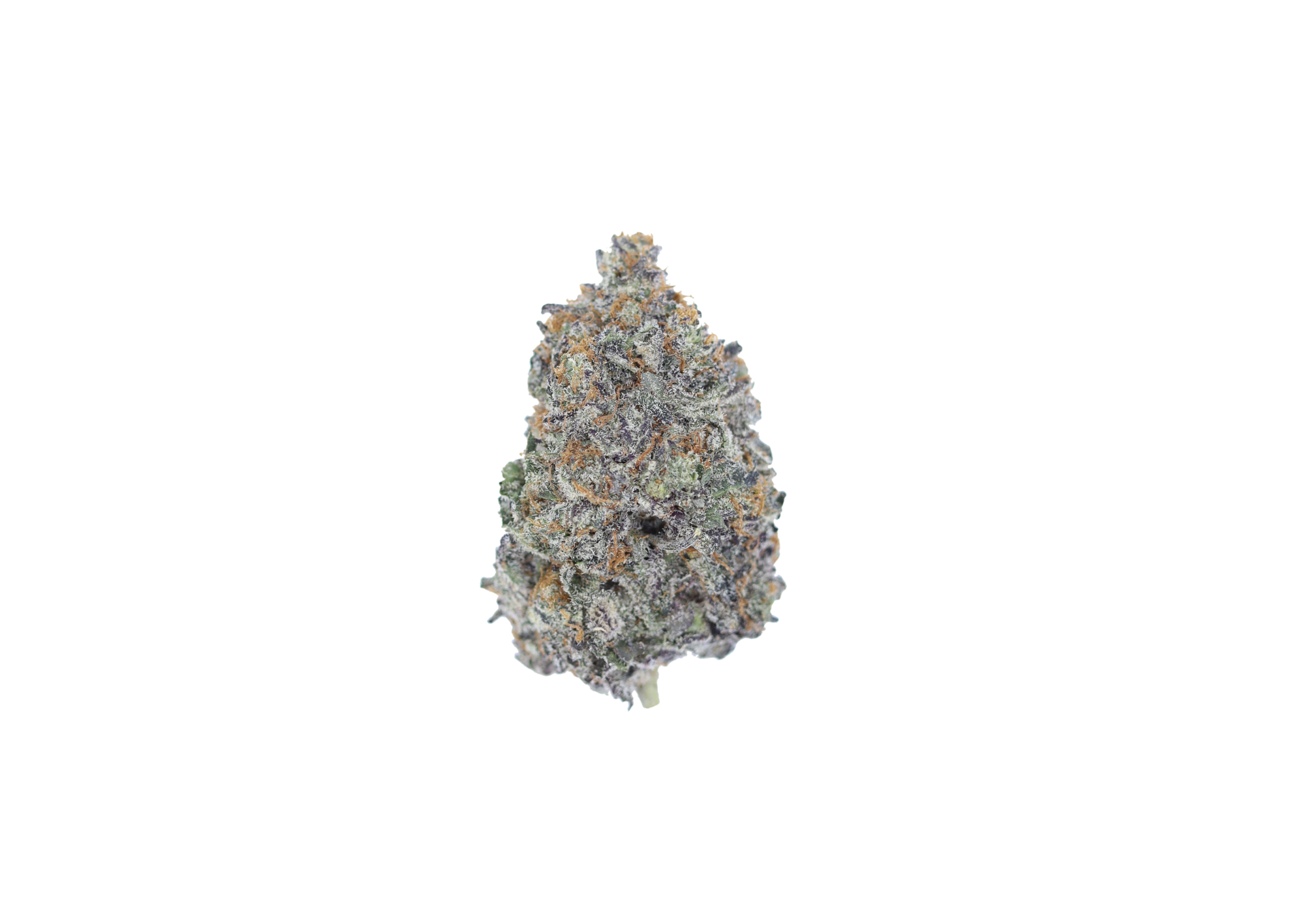 Purple Octane Indica Cannabis Flower Purple Octane Indica Cannabis Flower