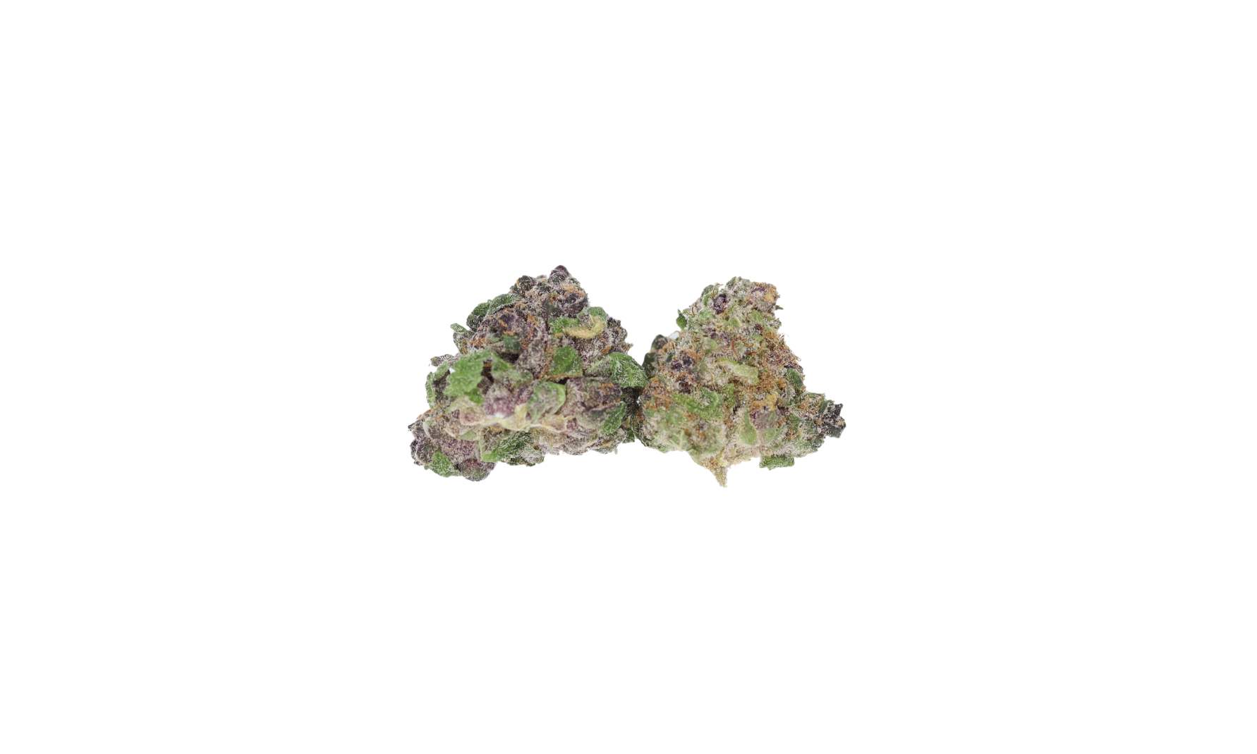 Purple Tangie Small Sativa Cannabis Flower Purple Tangie Small Sativa Cannabis Flower
