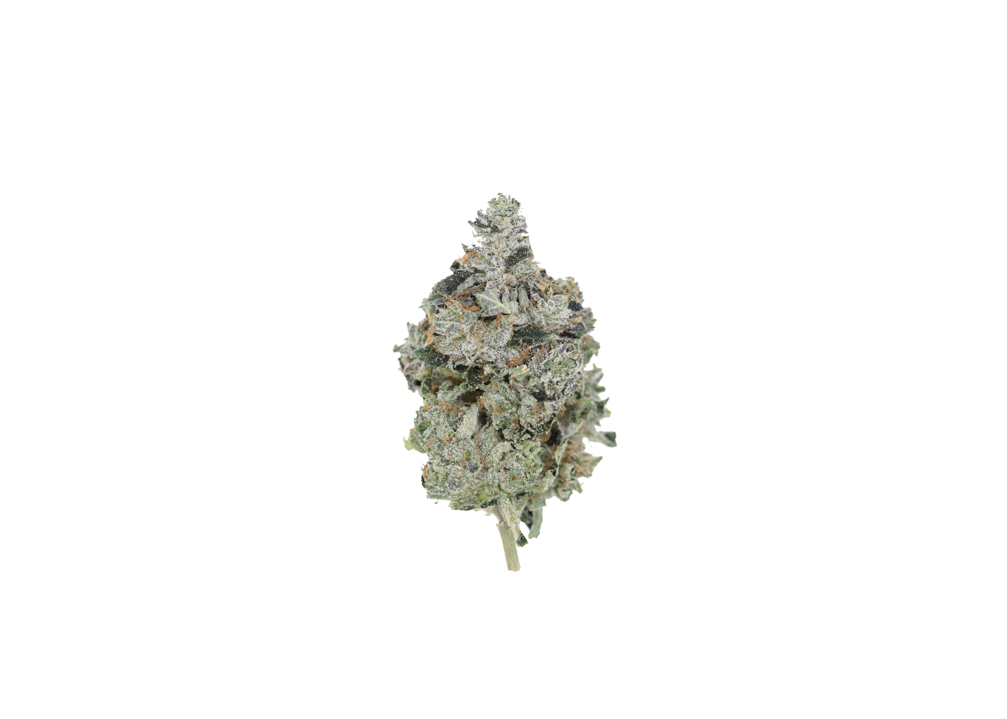 Tuna OG (LSO) Indica Anxiety Reduction Tuna OG (LSO) Indica Anxiety Reduction