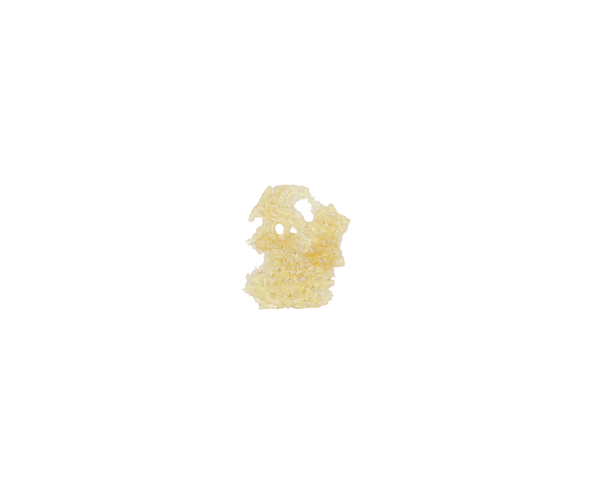 Alaskan Thunderfuck Shatter Shatter Alaskan Thunderfuck Alaskan Thunderfuck Shatter Shatter Alaskan Thunderfuck