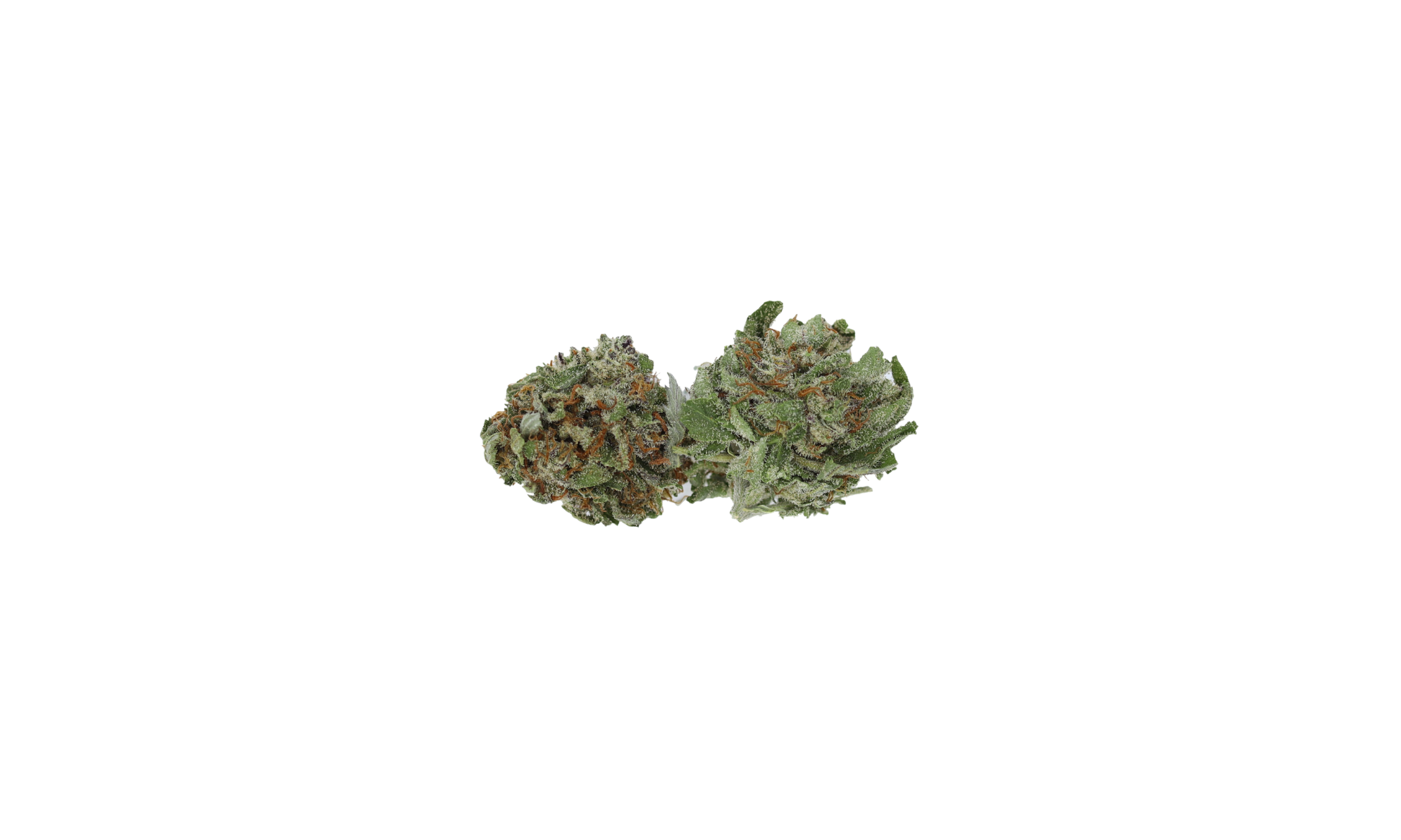 Black Friday Early Access – Apricot Kush Smalls (1lb) anxiety Black Friday Early Access – Apricot Kush Smalls (1lb) anxiety