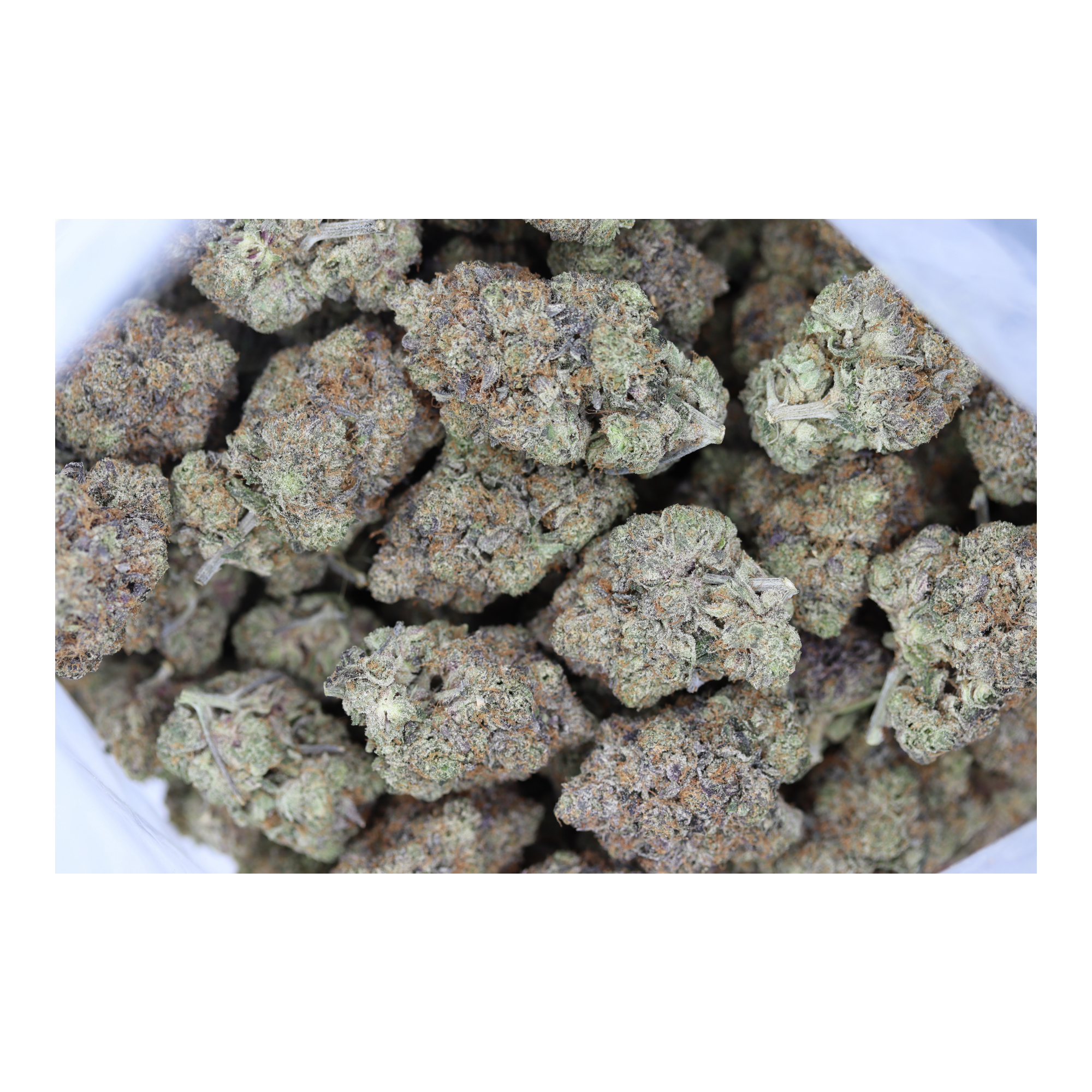 El Jefe Indica Anxiety Relief El Jefe Indica Anxiety Relief