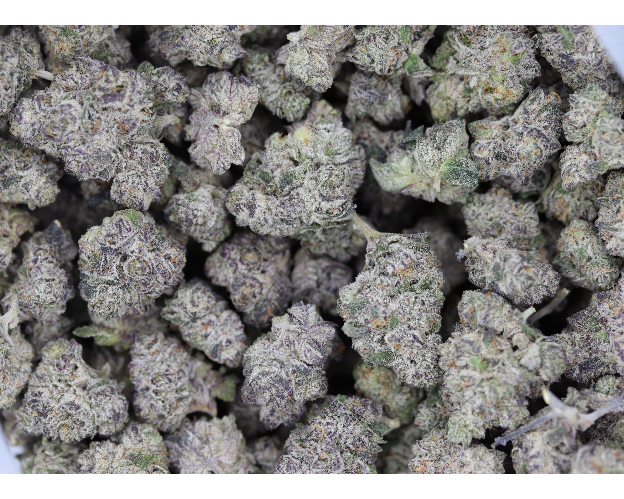 Grease Cake Smalls All Strains Cannabis Flower Grease Cake Smalls All Strains Cannabis Flower