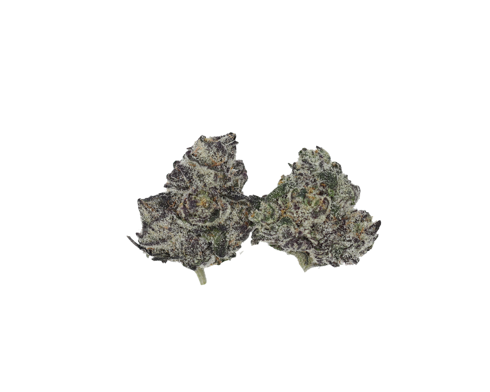 Grease Cake Smalls All Strains Cannabis Flower Grease Cake Smalls All Strains Cannabis Flower