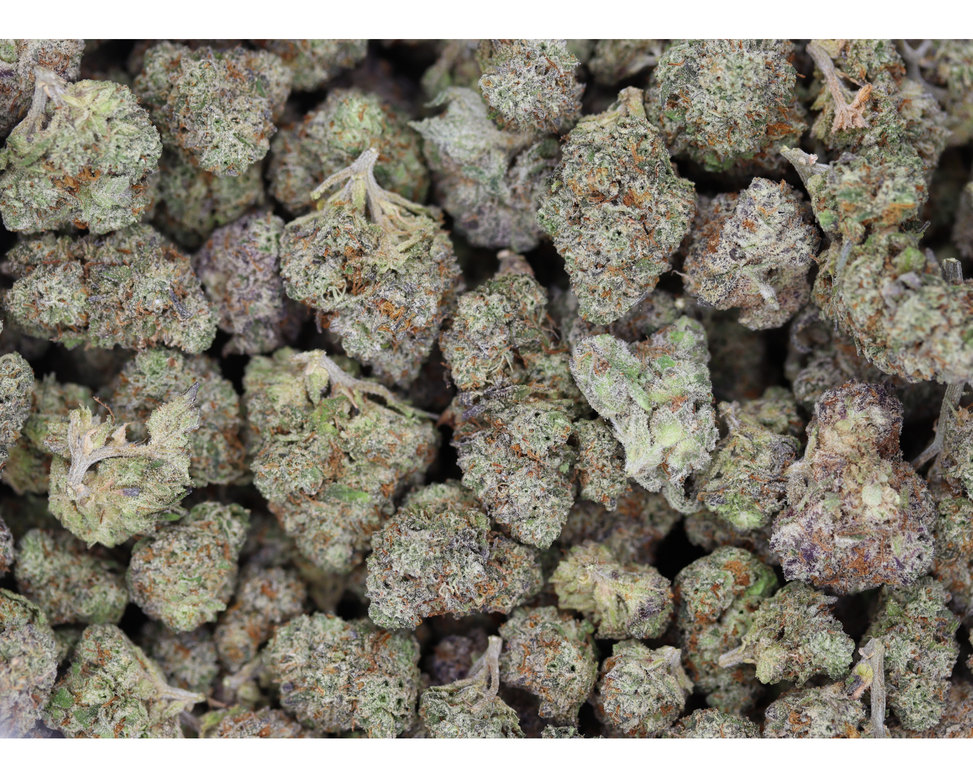 Money Maker Smalls All Strains Cannabis Flower Money Maker Smalls All Strains Cannabis Flower