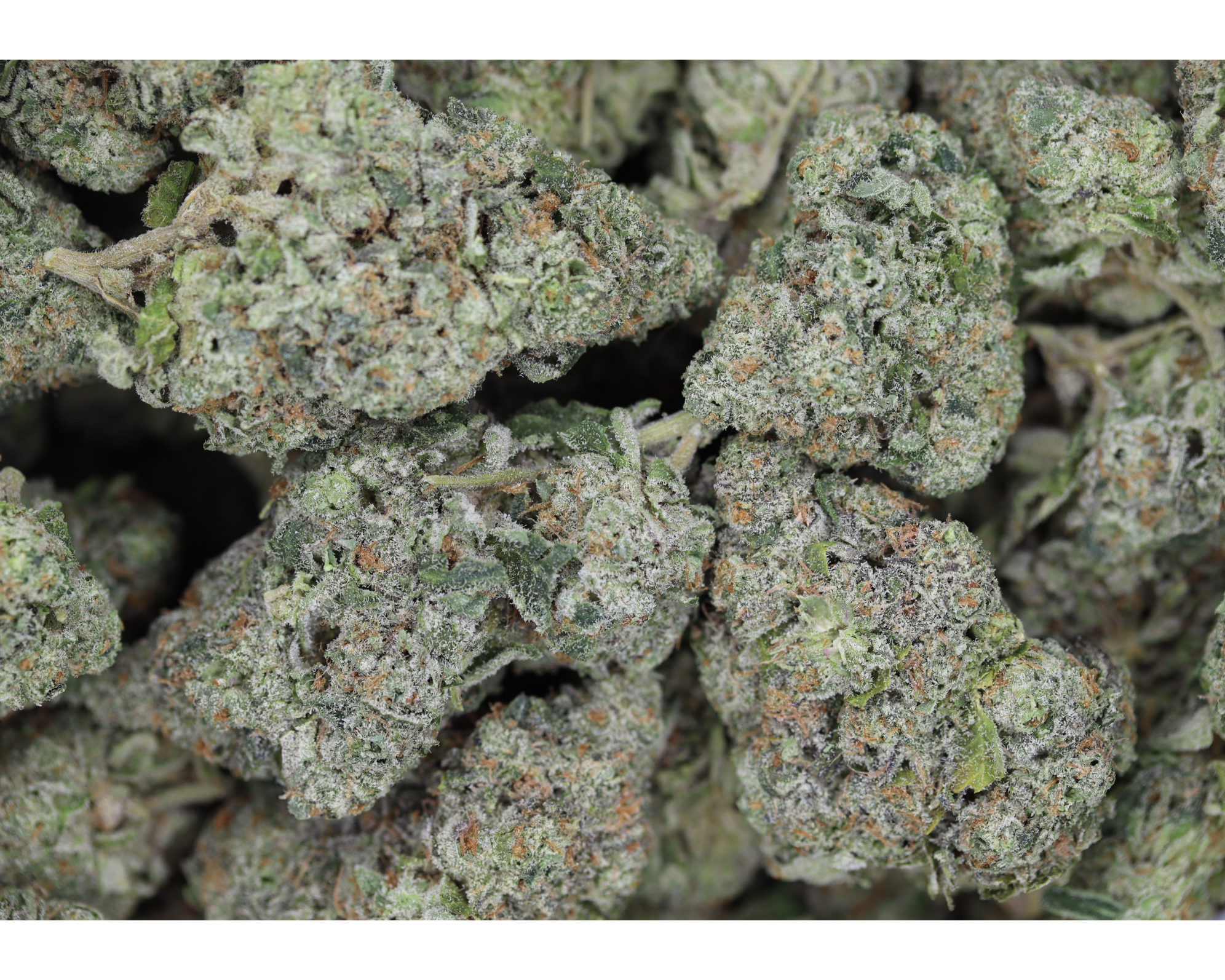 Strawberry Mintz All Strains Cannabis Flower Strawberry Mintz All Strains Cannabis Flower