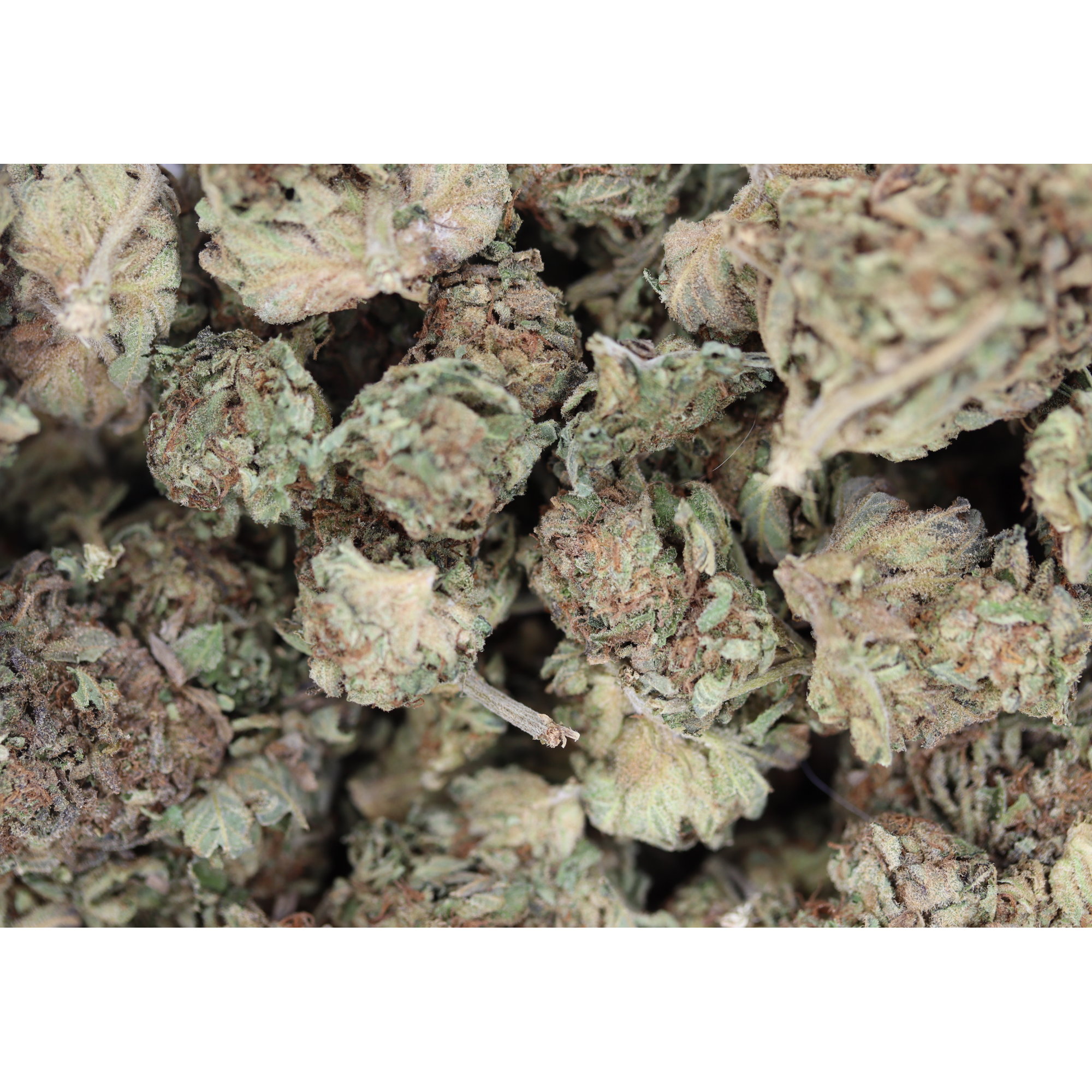 Clementine (1/2lb) Wholesale Flower bulk Clementine (1/2lb) Wholesale Flower bulk