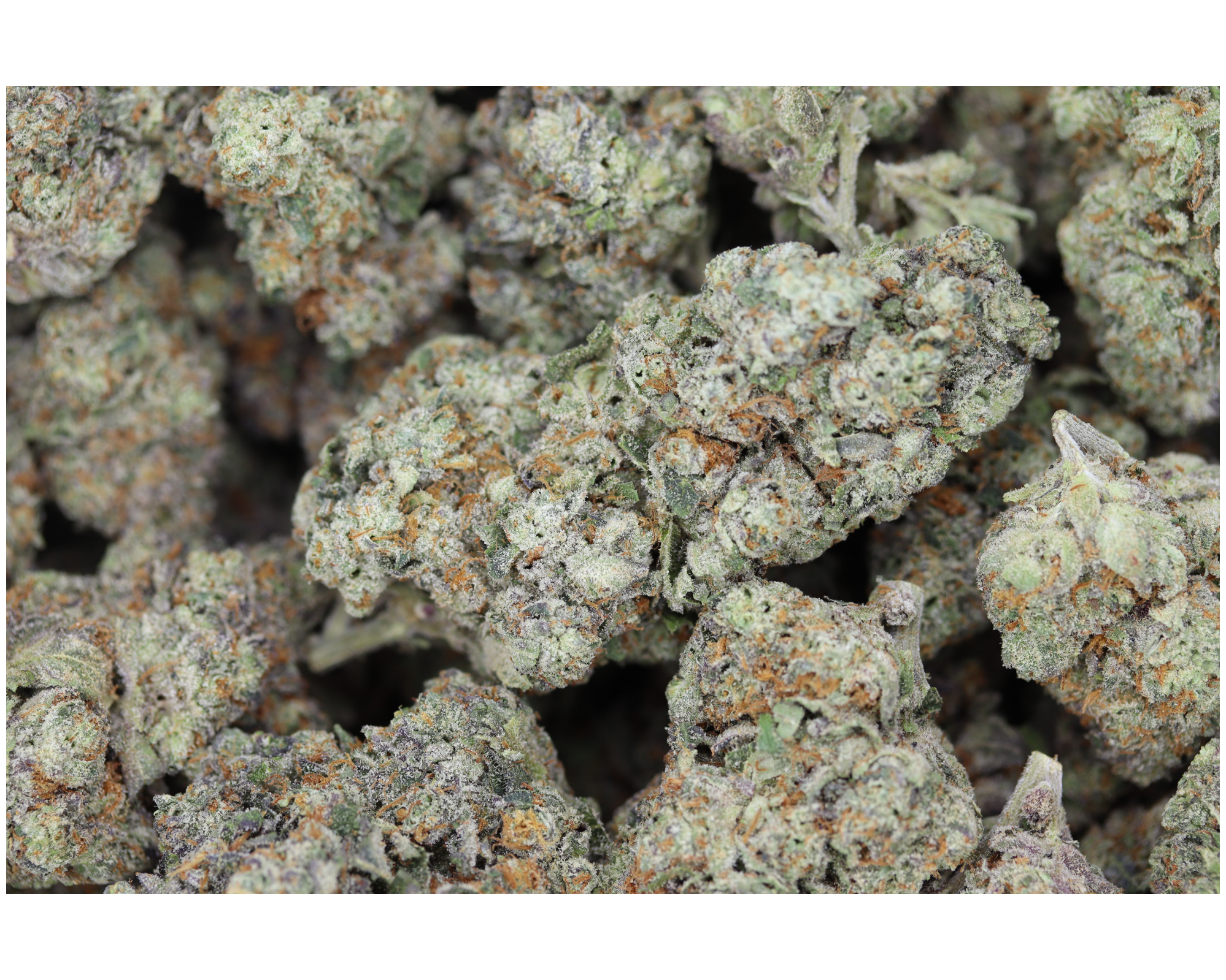 Forbidden Fruit Hybrid Cannabis Flower Forbidden Fruit Hybrid Cannabis Flower