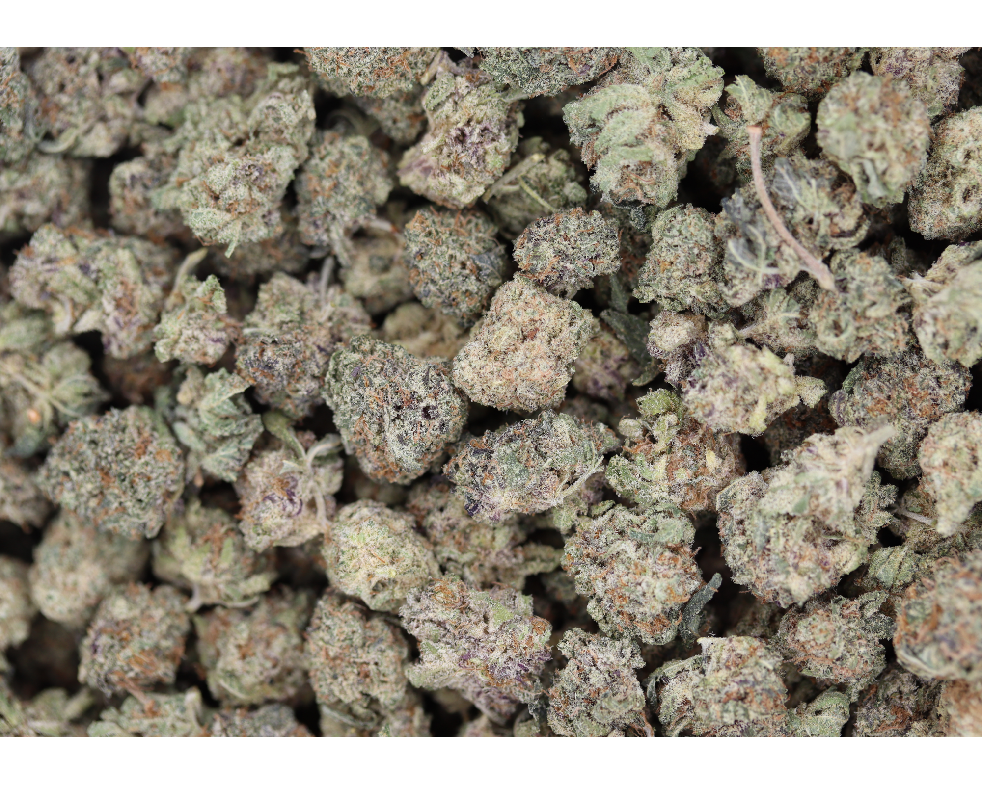 Funky Charms Smalls (1/2lb) Bulk Cannabis Flower Funky Charms Smalls (1/2lb) Bulk Cannabis Flower
