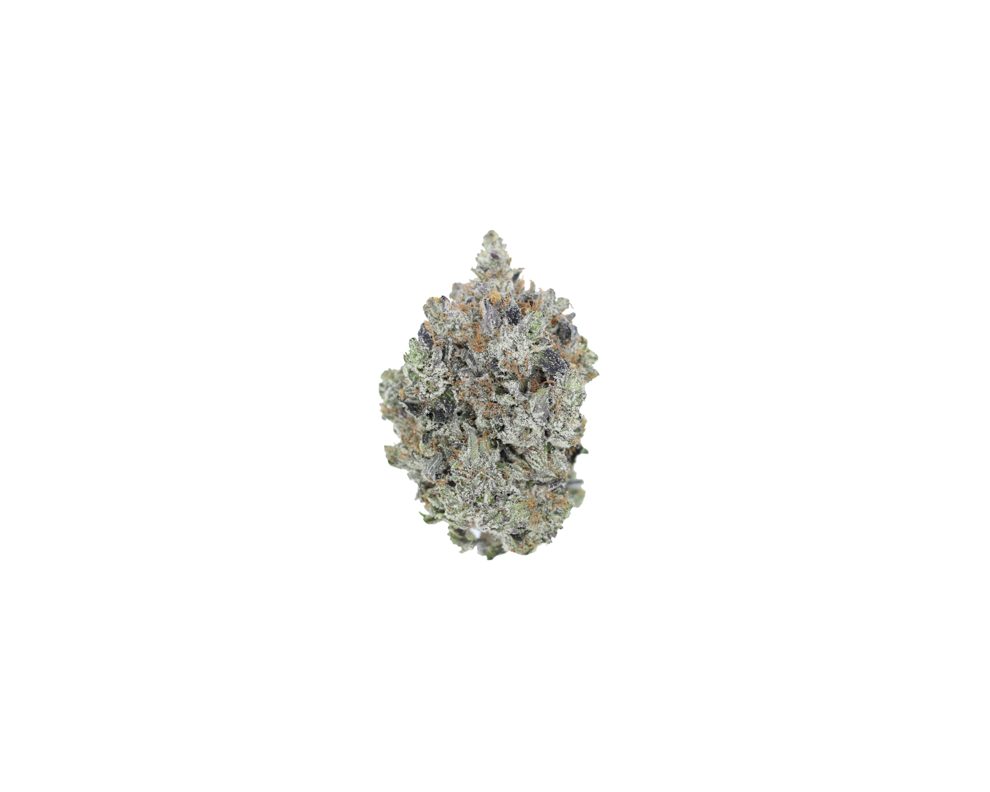 Gas Militia – LA Confidential Indica Cannabis Flower Gas Militia – LA Confidential Indica Cannabis Flower