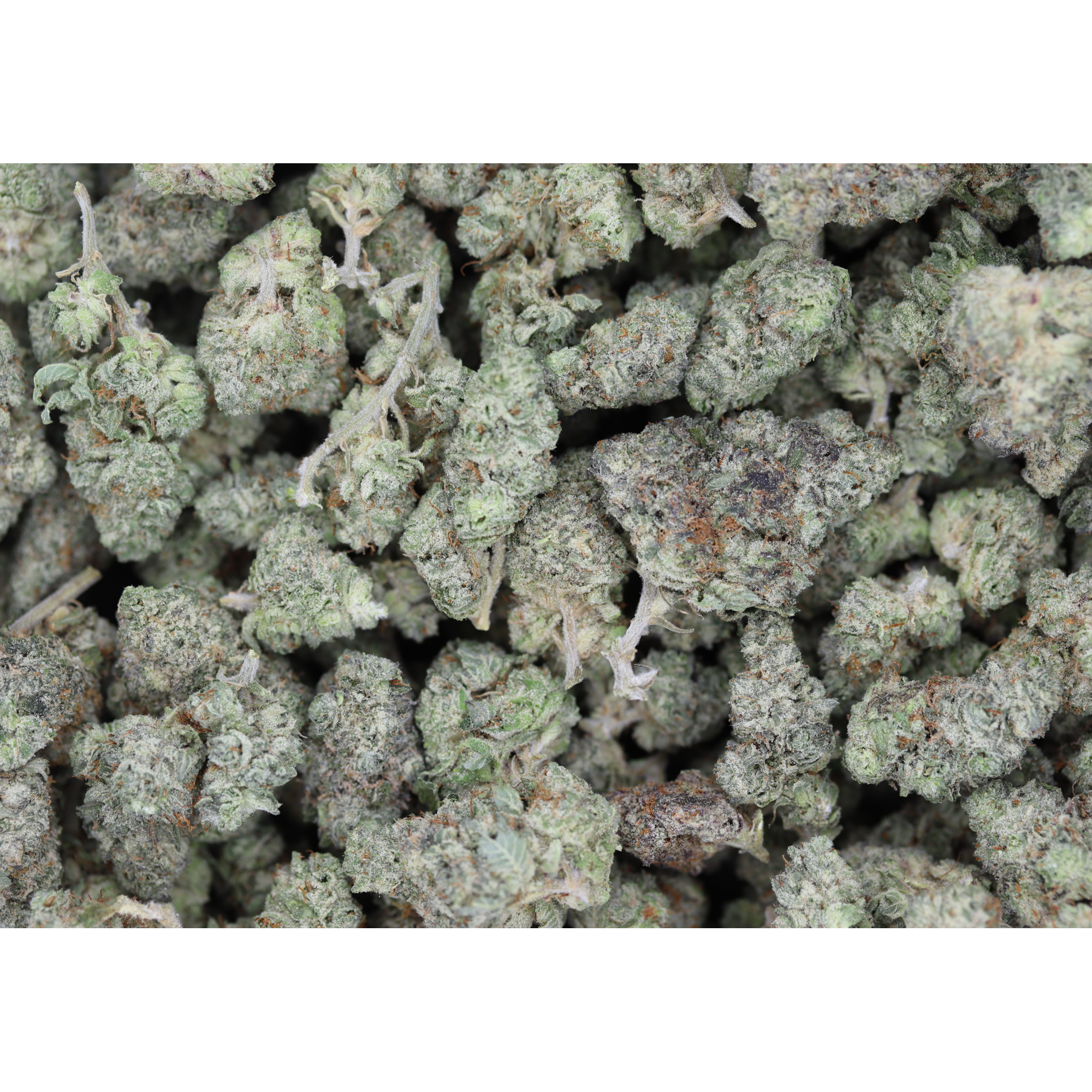 Purple Octane (1/2lb) Wholesale Flower bulk Purple Octane (1/2lb) Wholesale Flower bulk