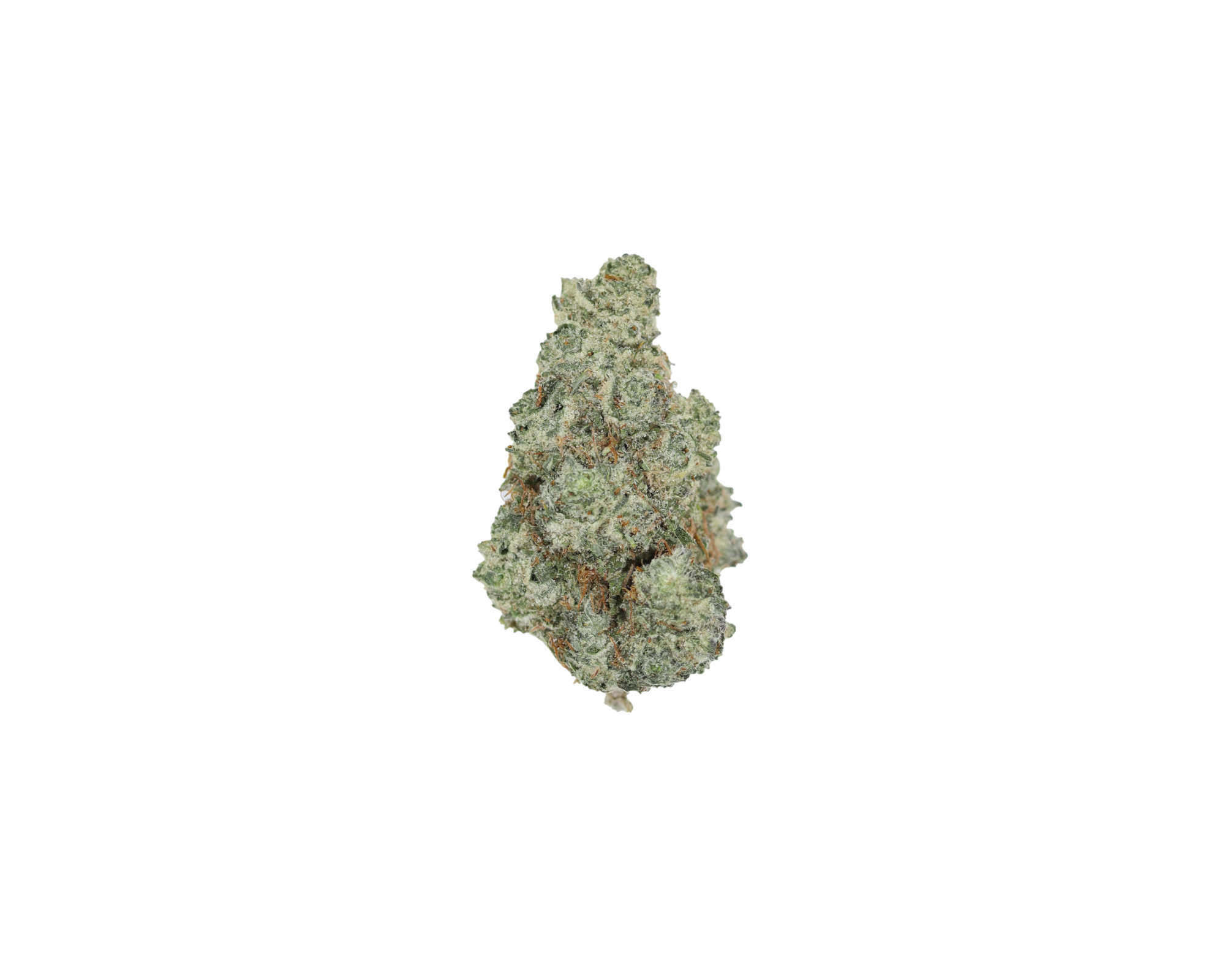 Purple Octane (1/2lb) Wholesale Flower bulk Purple Octane (1/2lb) Wholesale Flower bulk