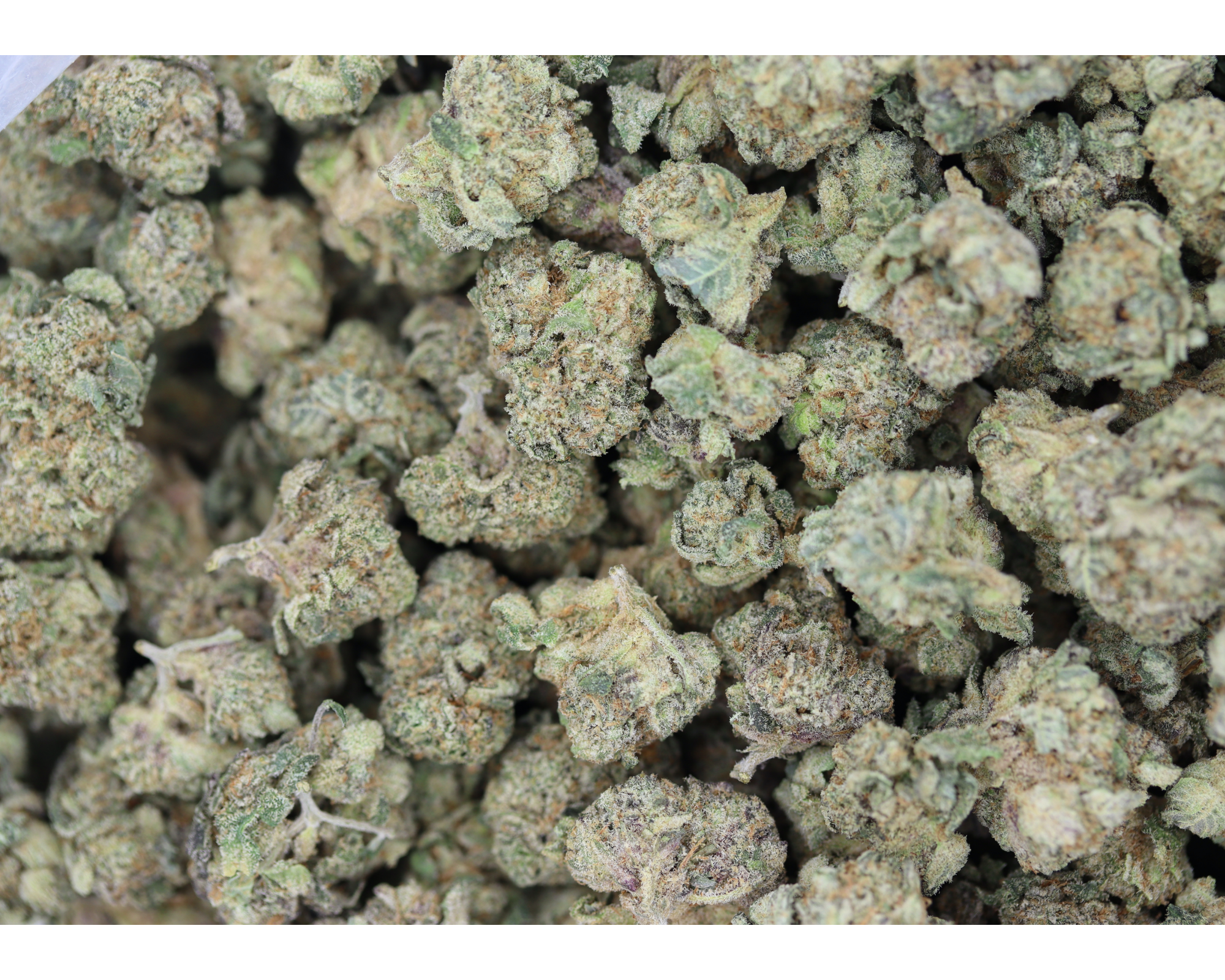 Space Cake Smalls (1/2lb) Wholesale Flower citrus Space Cake Smalls (1/2lb) Wholesale Flower citrus
