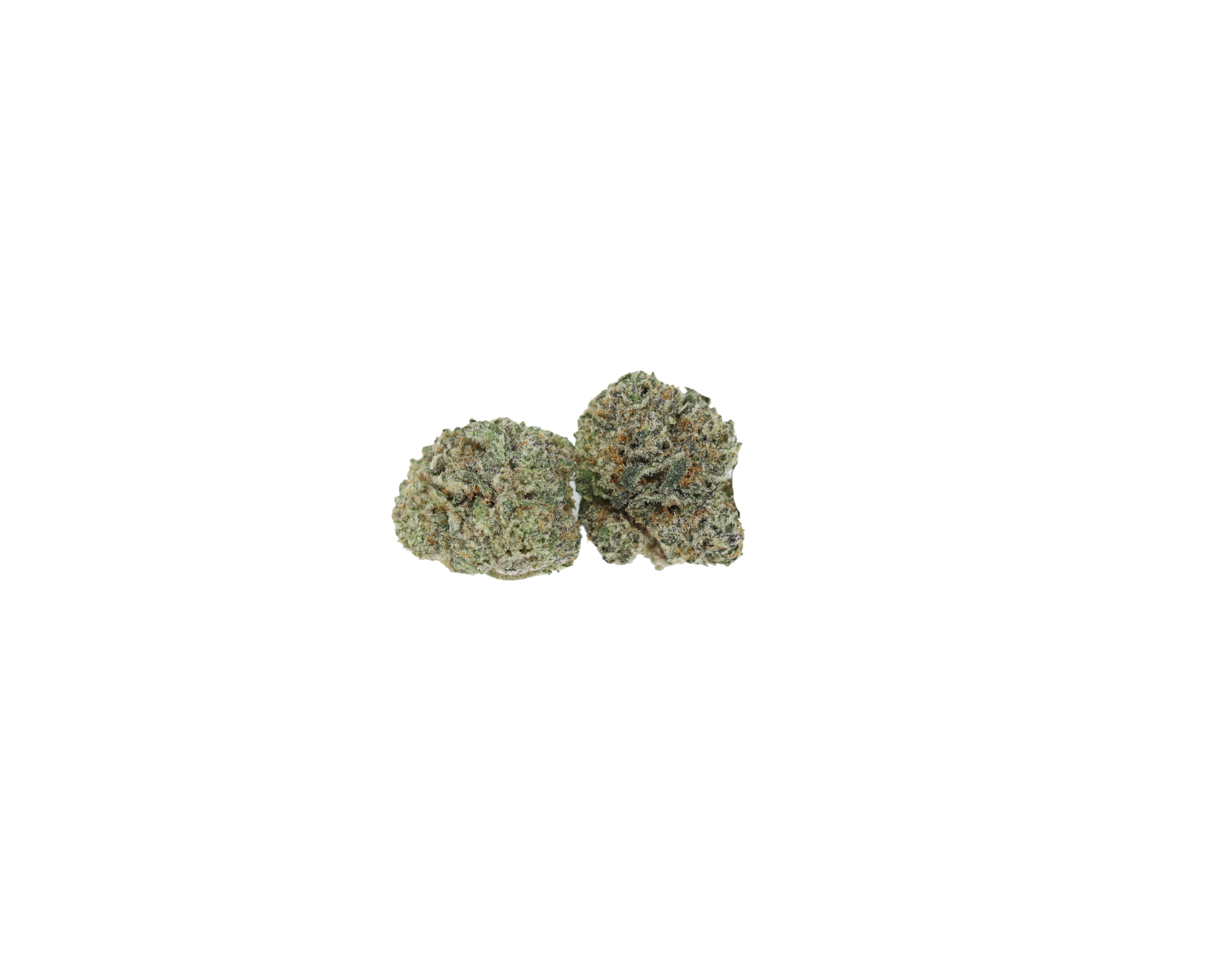 Space Cake Smalls (1/2lb) Wholesale Flower citrus Space Cake Smalls (1/2lb) Wholesale Flower citrus