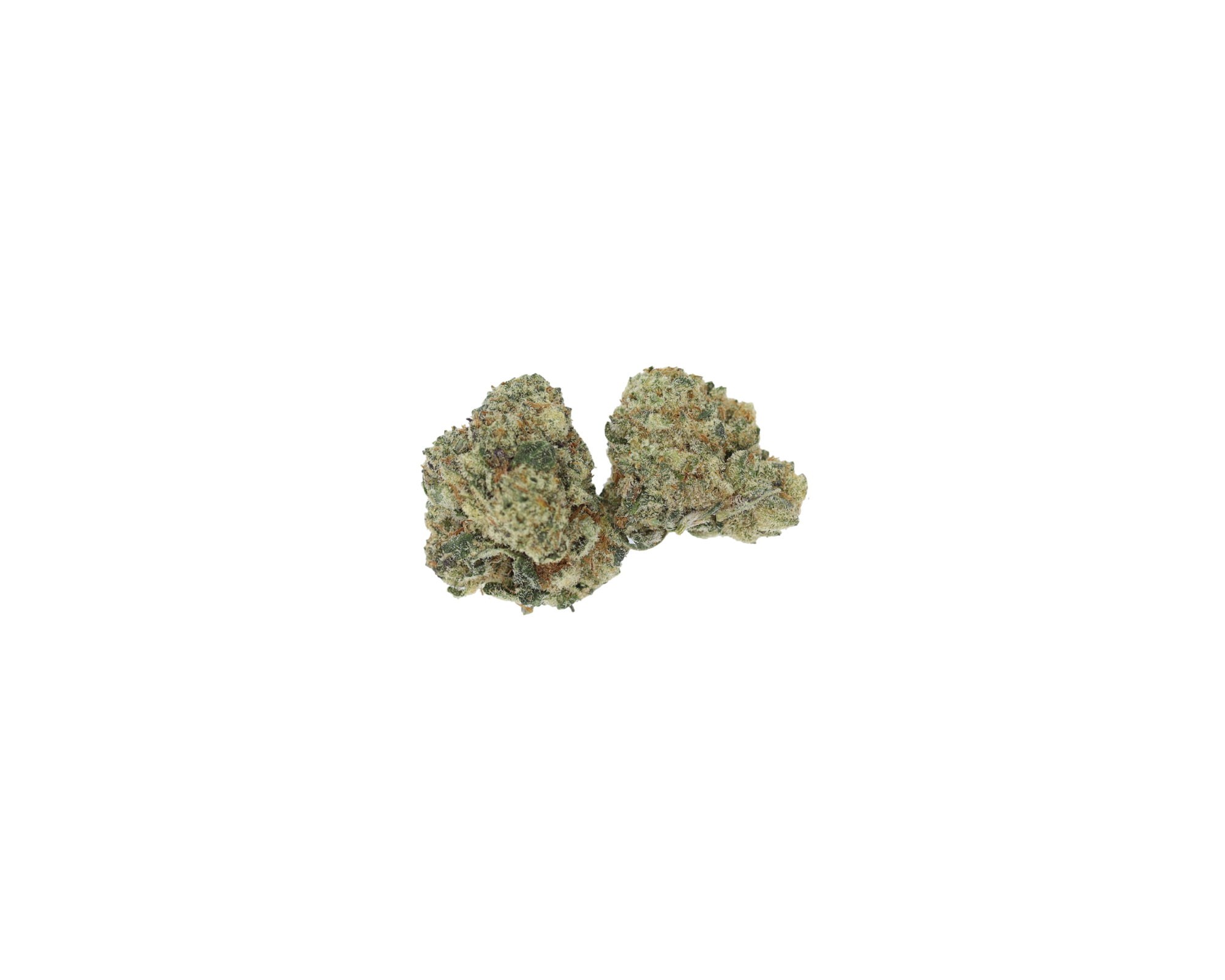 Watermelon Zkittles (1/2lb) Wholesale Flower Berry Watermelon Zkittles (1/2lb) Wholesale Flower Berry