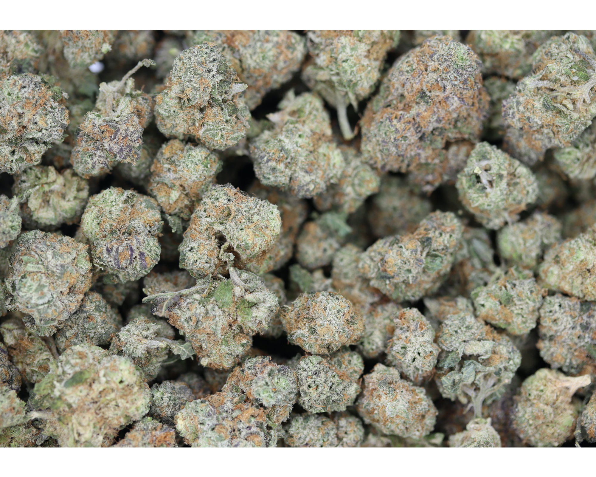 Joker Mints Smalls (1/2lb) Wholesale Flower Cannabis Flower Joker Mints Smalls (1/2lb) Wholesale Flower Cannabis Flower