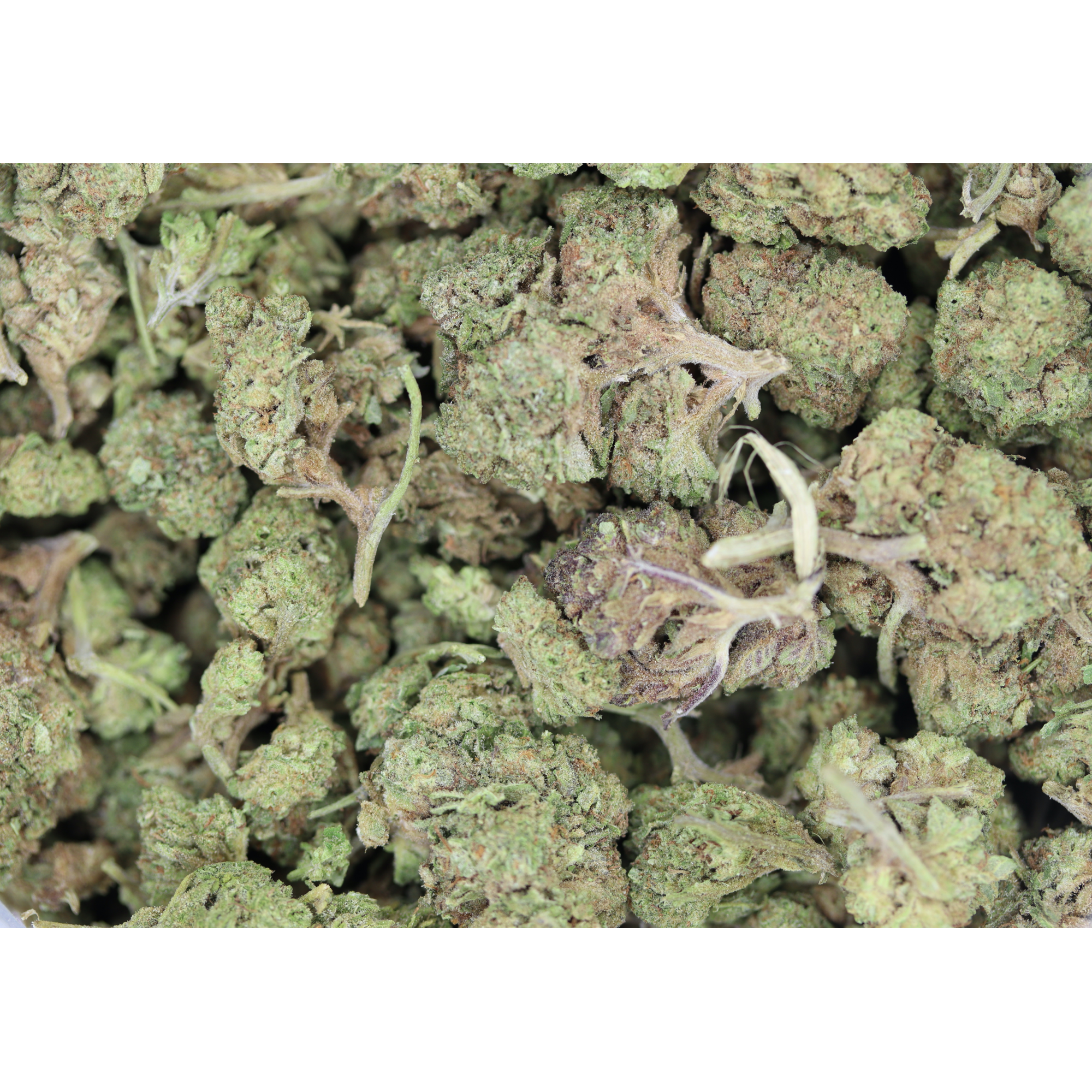 Afghani Lights Indica Afghani Lights Afghani Lights Indica Afghani Lights