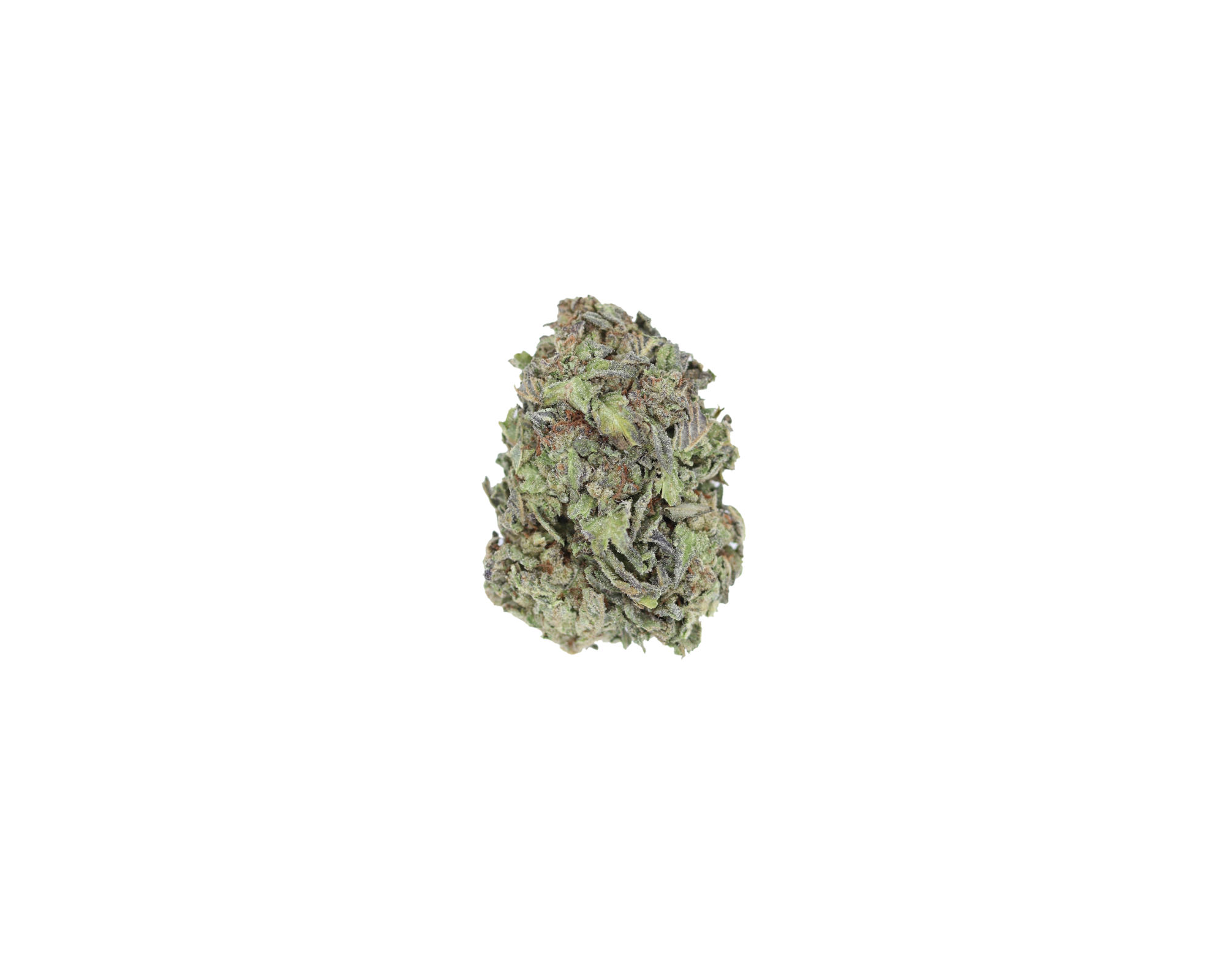 Alien Cookies (1/2lb) Wholesale Flower Alien Cookies Alien Cookies (1/2lb) Wholesale Flower Alien Cookies