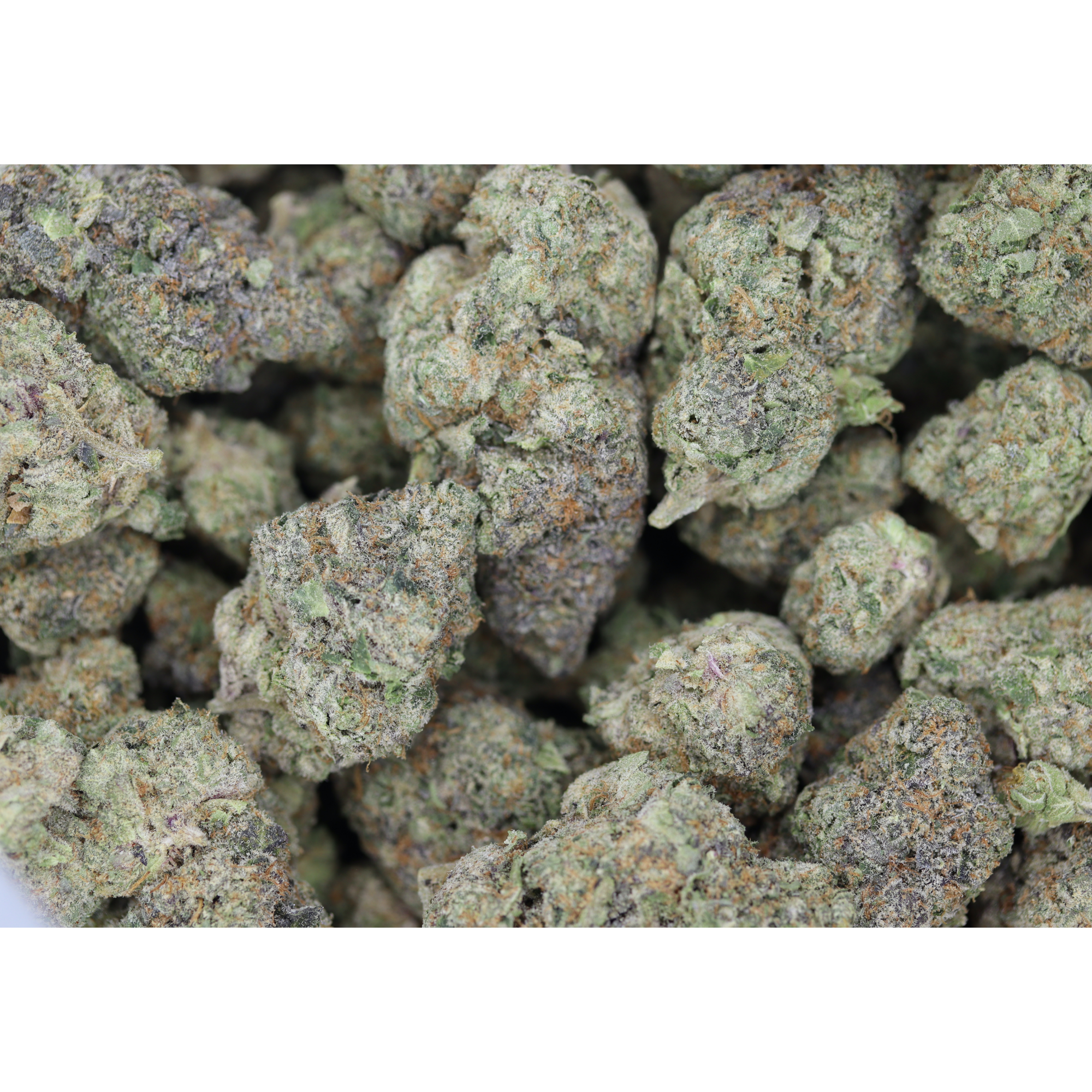 Cheesequake (1/2lb) Wholesale Flower bulk Cheesequake (1/2lb) Wholesale Flower bulk
