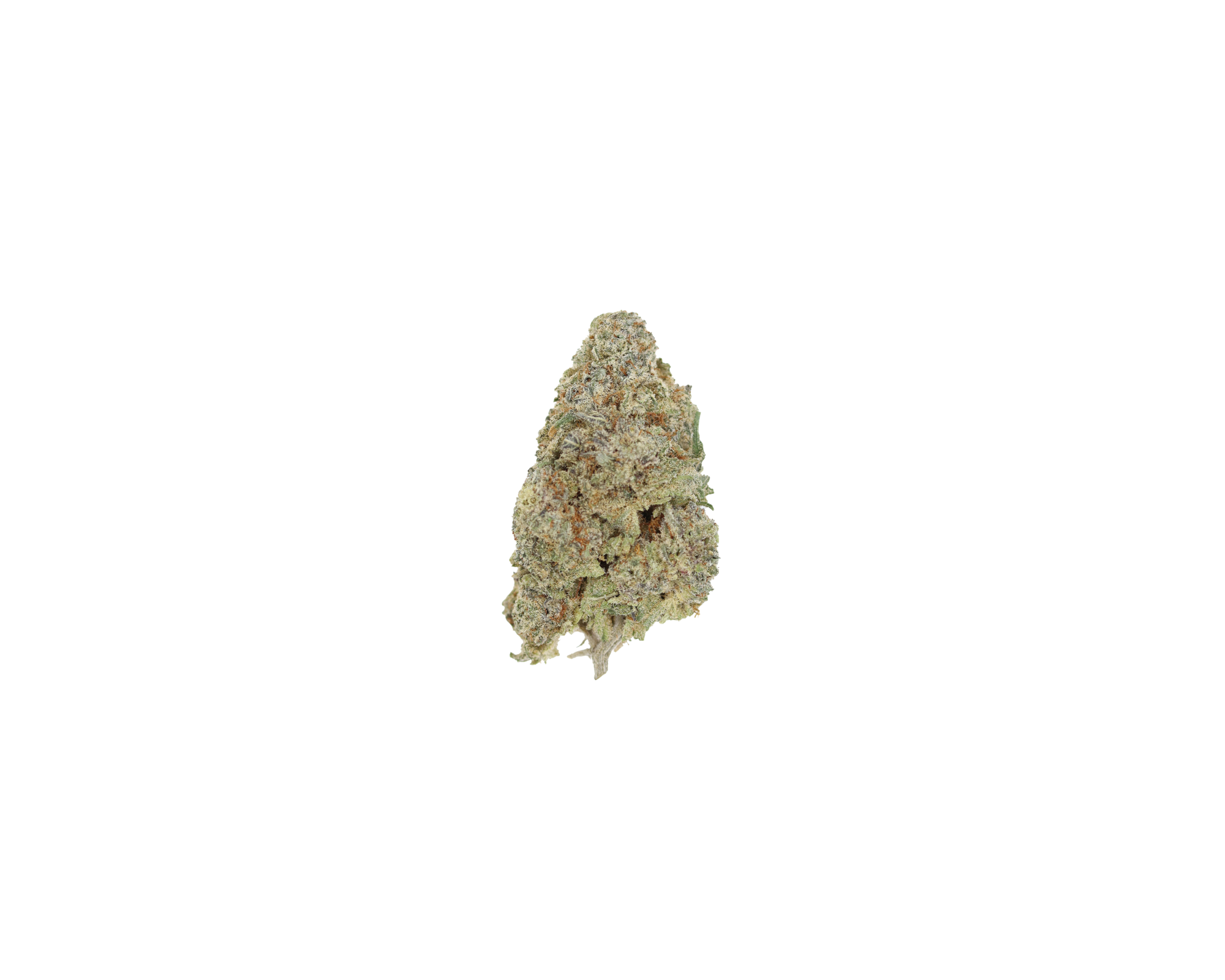 DAWG (1/2lb) Wholesale Flower bulk DAWG (1/2lb) Wholesale Flower bulk