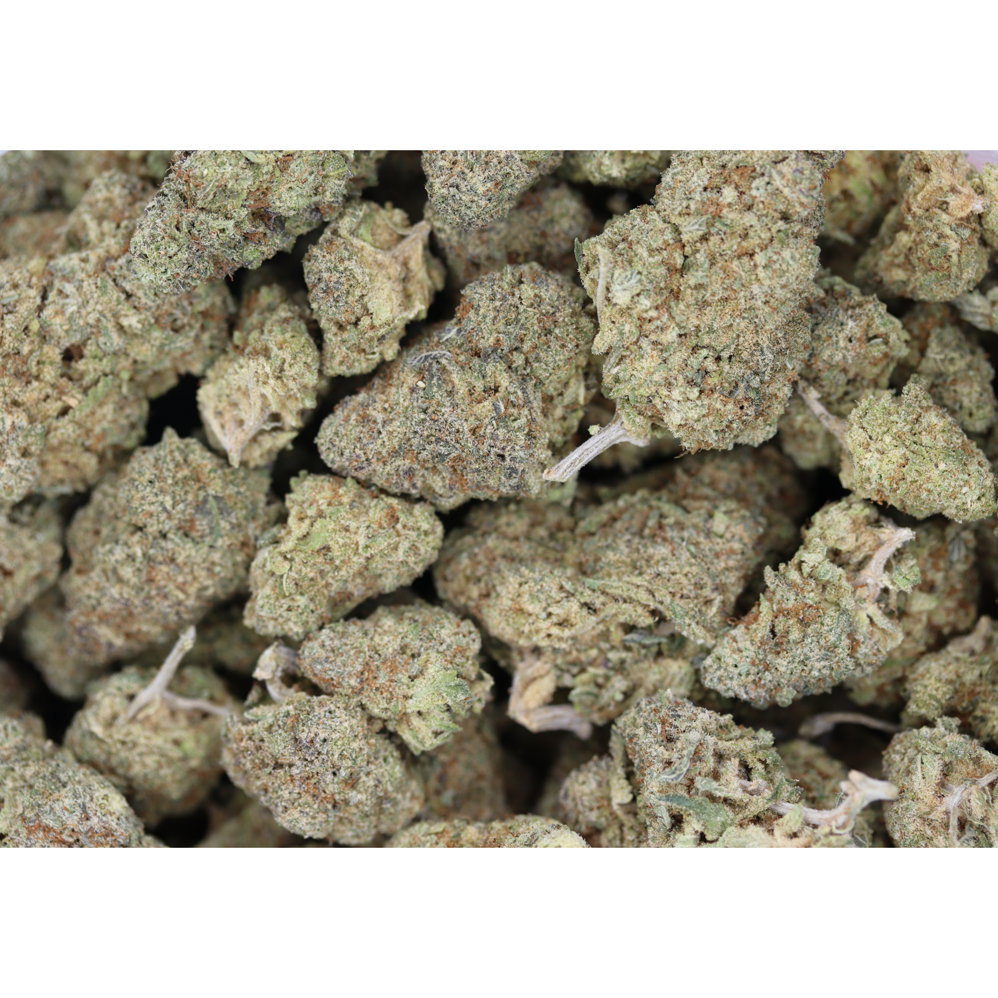 DAWG (1/2lb) Wholesale Flower bulk DAWG (1/2lb) Wholesale Flower bulk