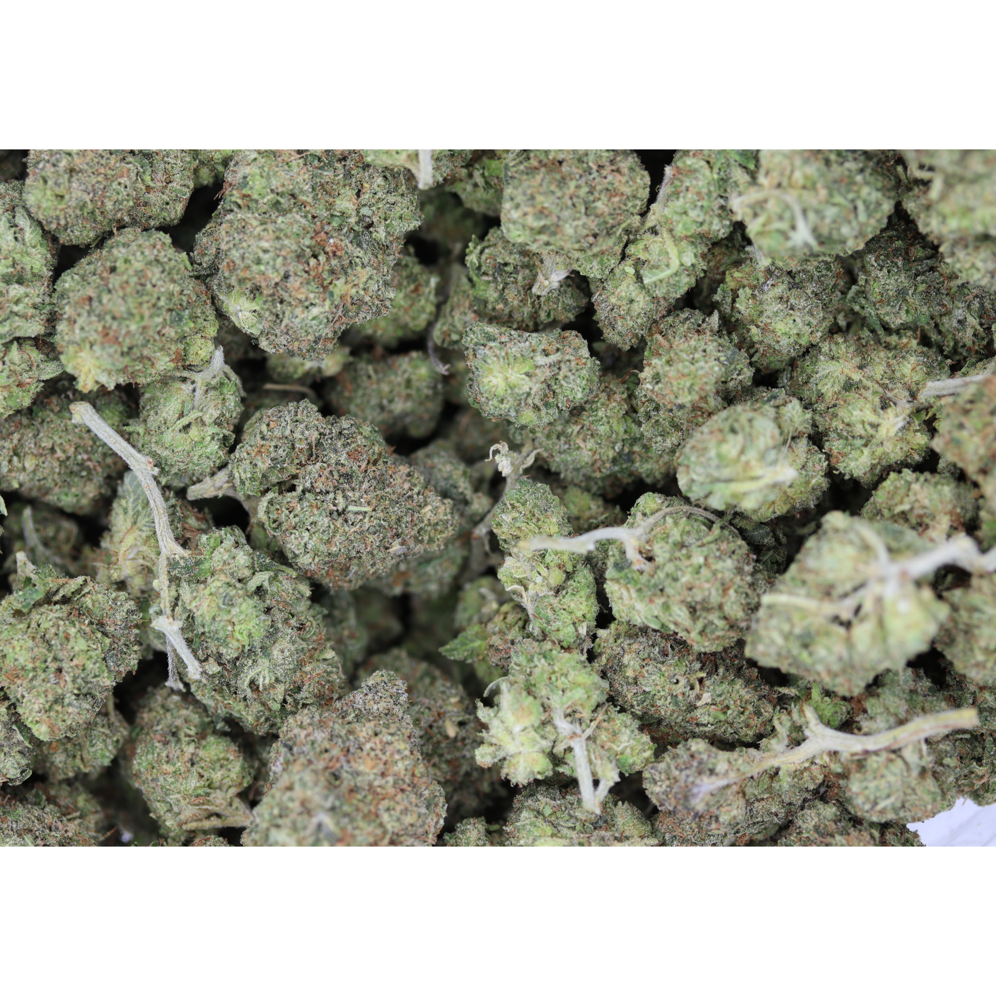 Death Baby Bubba (1/2lb) Wholesale Flower anxiety Death Baby Bubba (1/2lb) Wholesale Flower anxiety