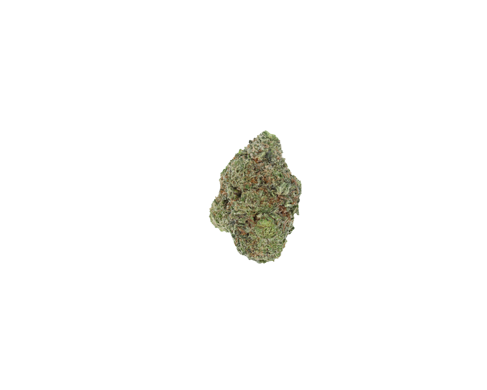 Death Baby Bubba (1/2lb) Wholesale Flower anxiety Death Baby Bubba (1/2lb) Wholesale Flower anxiety