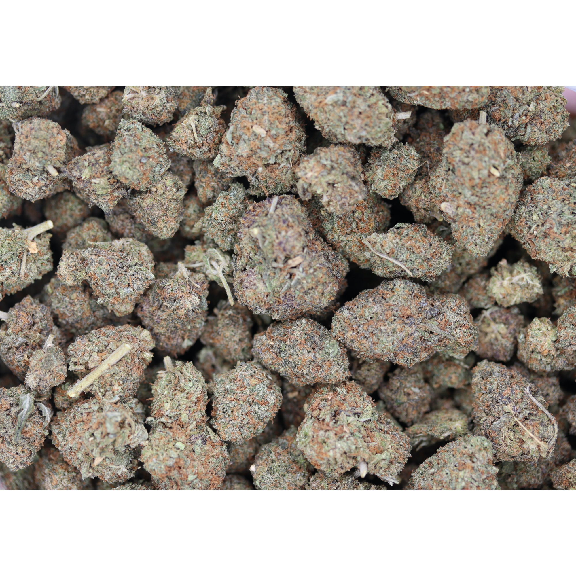 Frosted Ice (1/2lb) Bulk bulk Frosted Ice (1/2lb) Bulk bulk