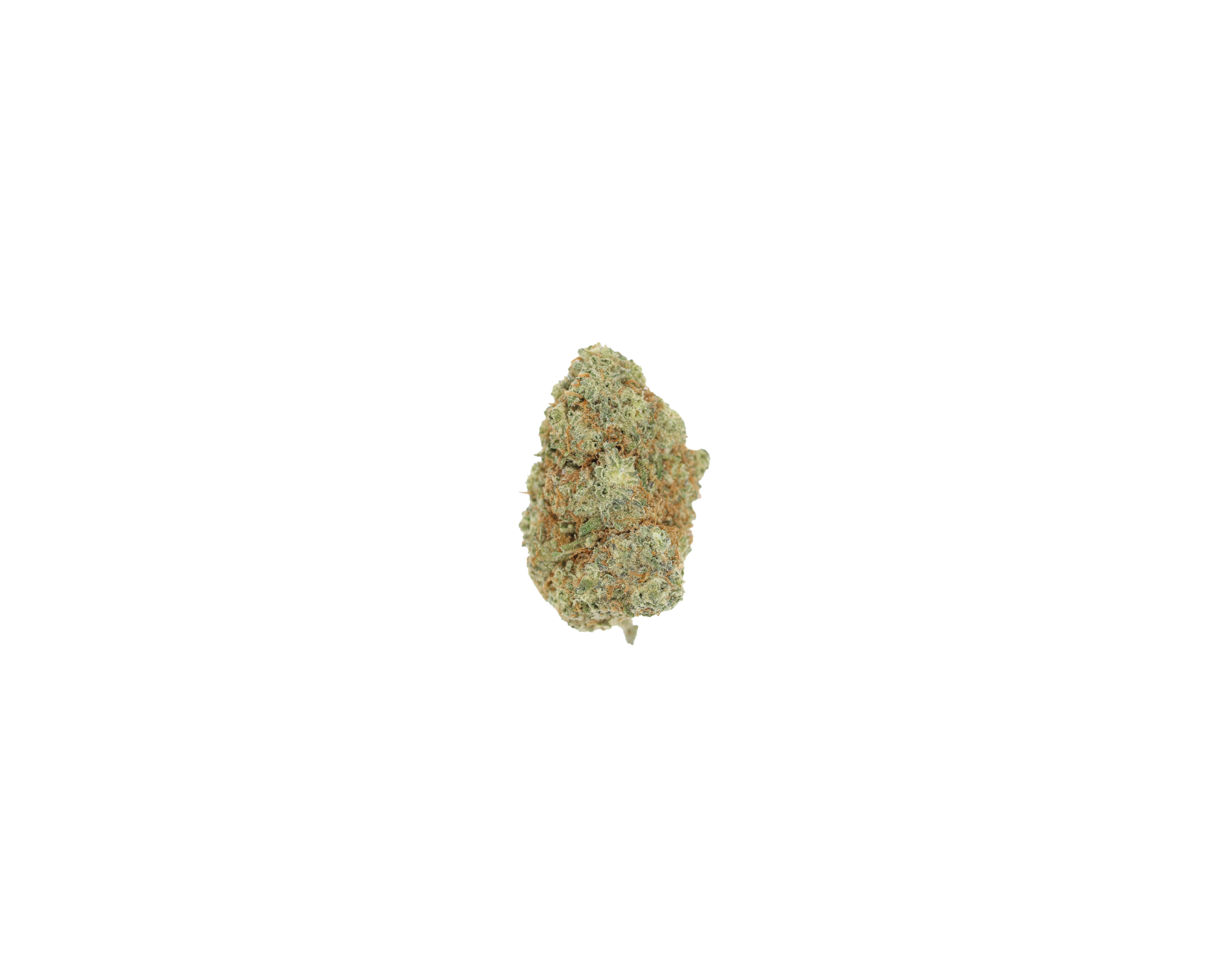 GSC (1/2lb) Wholesale Flower anxiety GSC (1/2lb) Wholesale Flower anxiety
