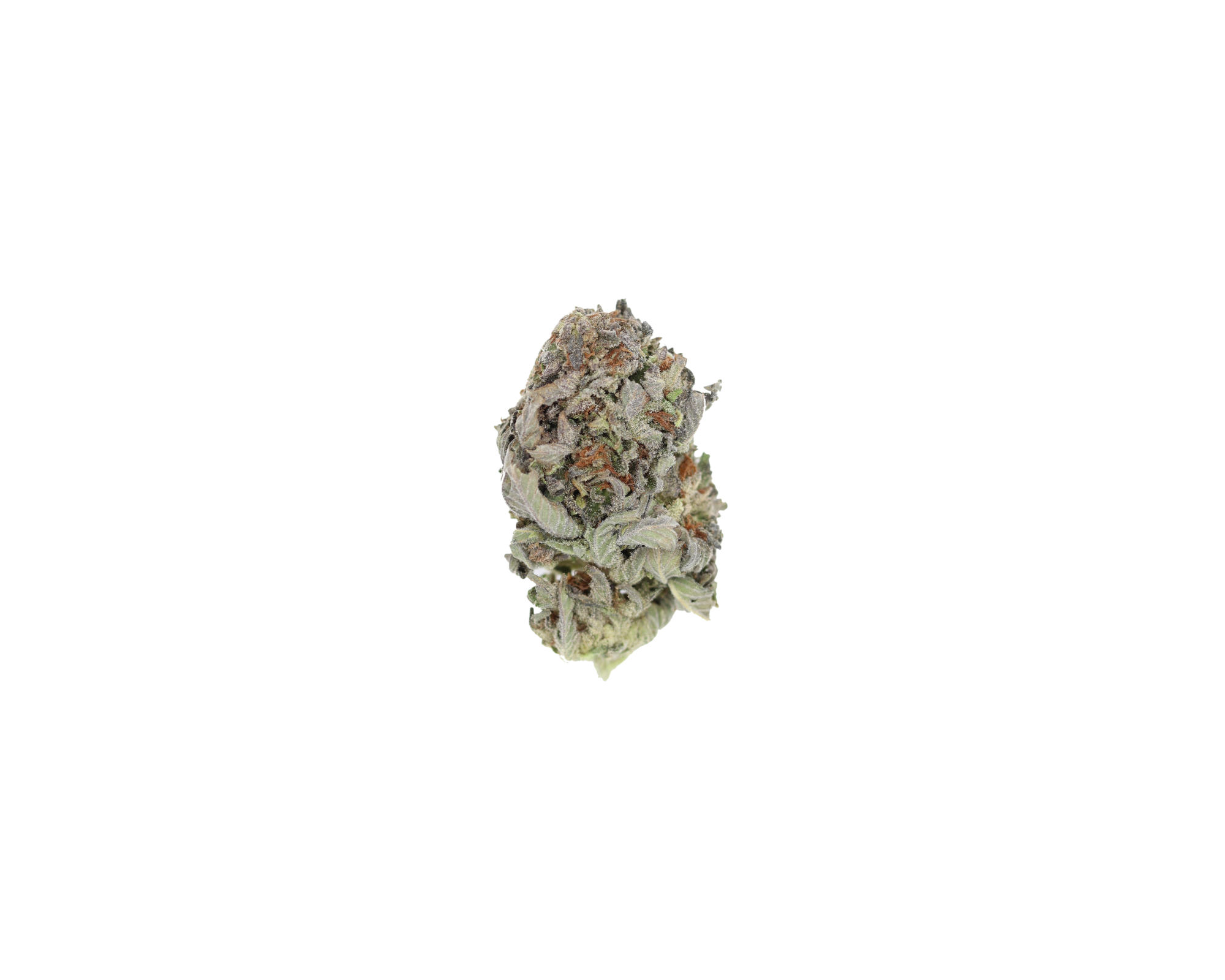 Glookies (1/2lb) Wholesale Flower Anxiety Reduction Glookies (1/2lb) Wholesale Flower Anxiety Reduction