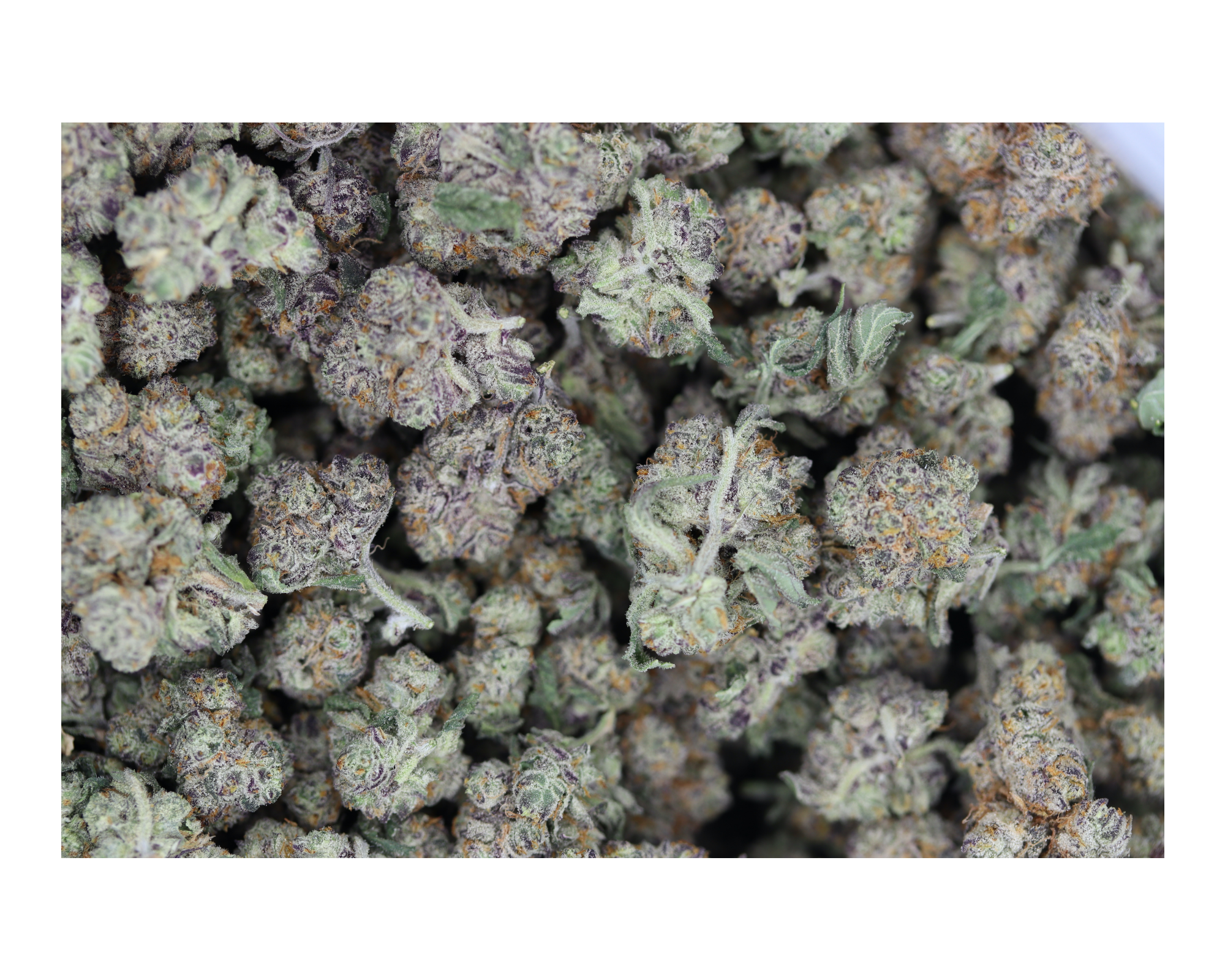 Grape Ape Smalls (1/2lb) Wholesale Flower Baked Goods Grape Ape Smalls (1/2lb) Wholesale Flower Baked Goods