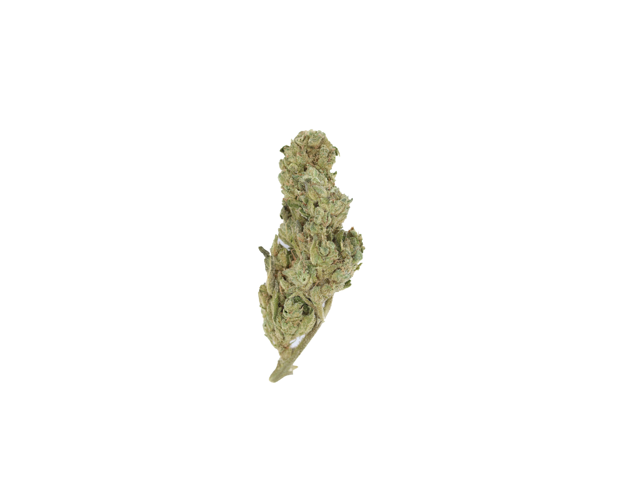 Juicy Joker (1/2lb) Bulk bulk Juicy Joker (1/2lb) Bulk bulk
