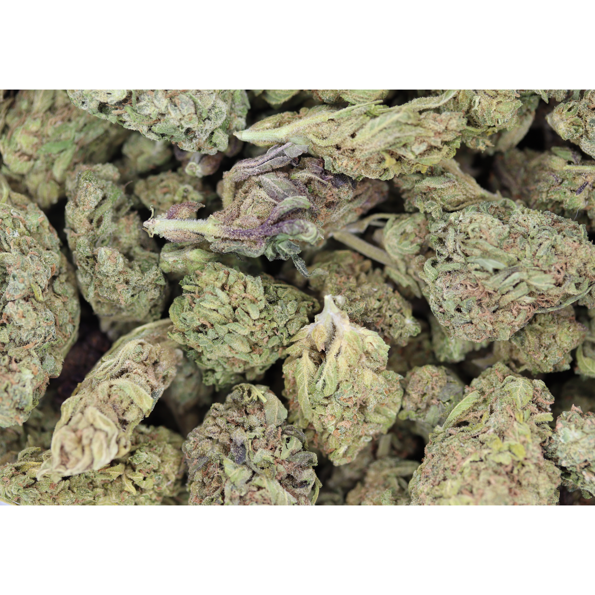 Juicy Joker (1/2lb) Bulk bulk Juicy Joker (1/2lb) Bulk bulk