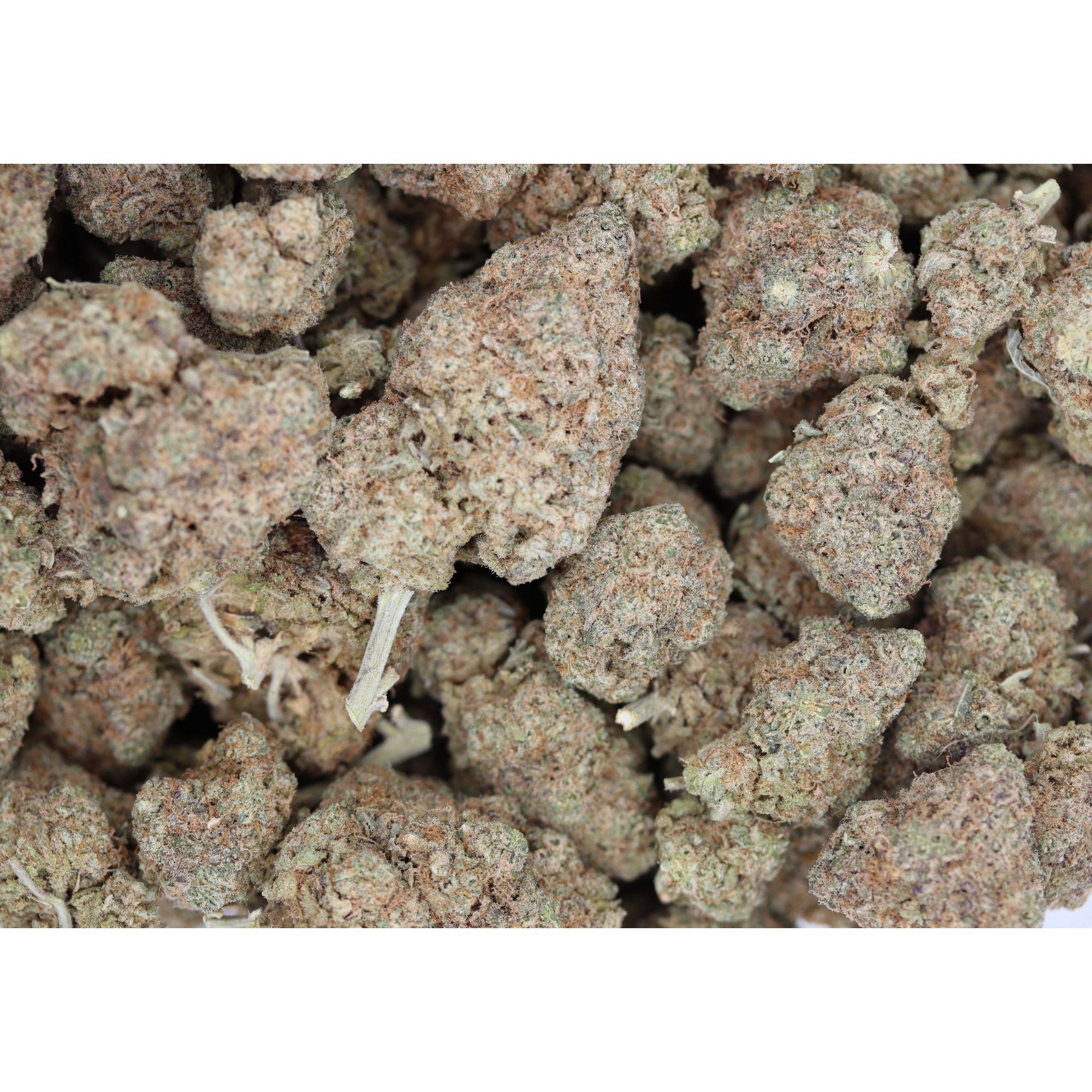MAY (1/2lb) Bulk bulk MAY (1/2lb) Bulk bulk