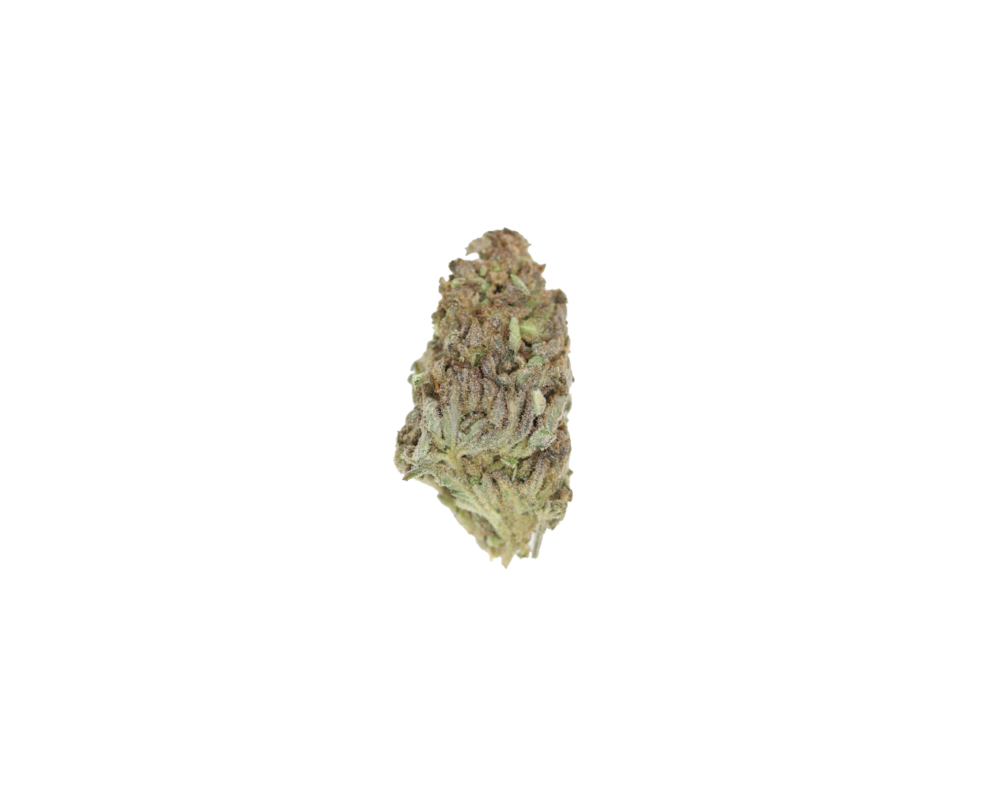 OG Cheese (1/2lb) Wholesale Flower bulk OG Cheese (1/2lb) Wholesale Flower bulk