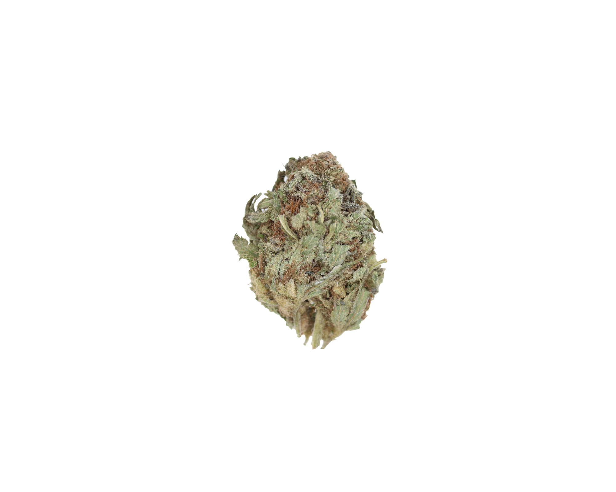 Orange Poison (1/2lb) Wholesale Flower bulk Orange Poison (1/2lb) Wholesale Flower bulk