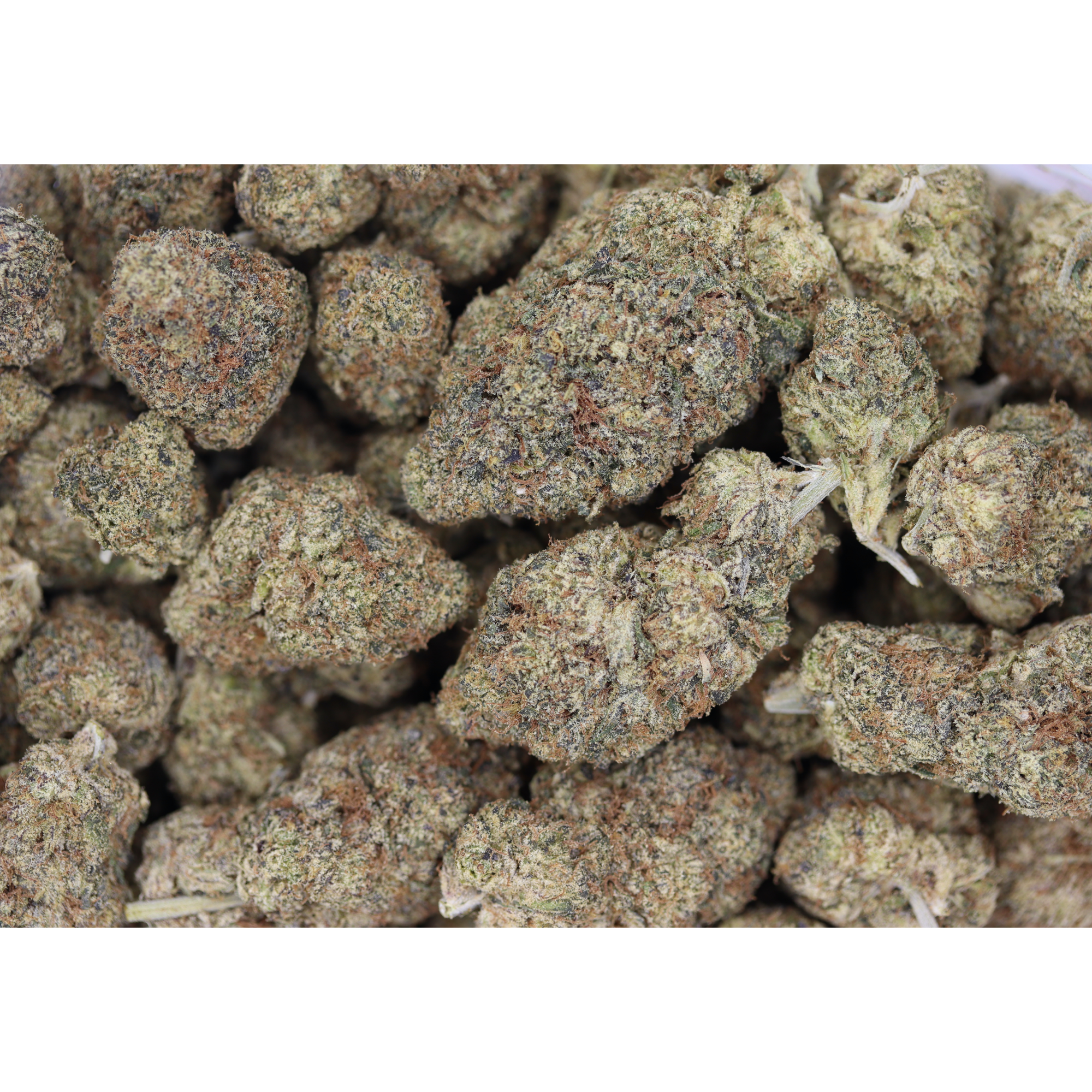 Orange (1/2lb) Wholesale Flower anxiety Orange (1/2lb) Wholesale Flower anxiety