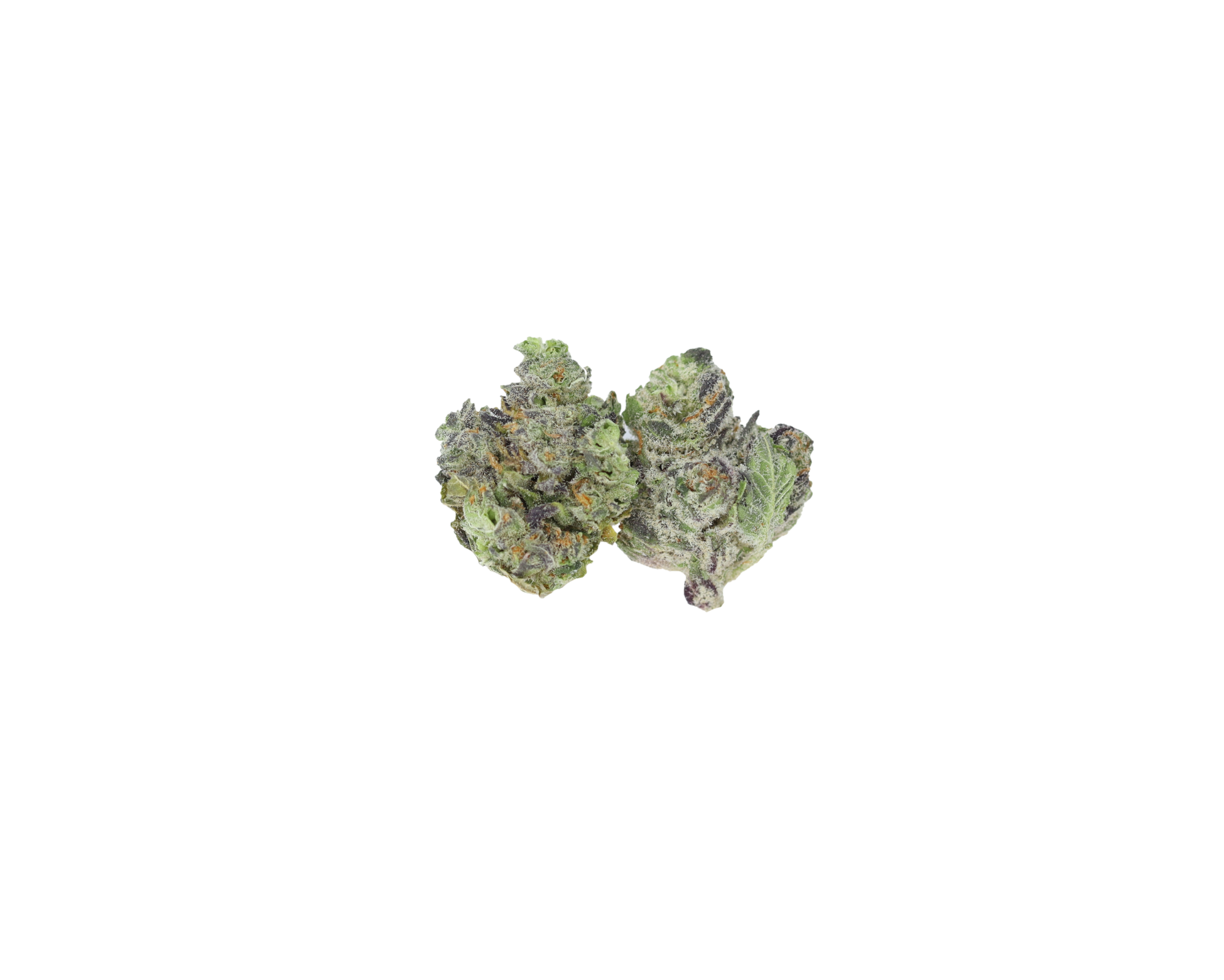 Purple Kush Smalls (1/2lb) Bulk bulk Purple Kush Smalls (1/2lb) Bulk bulk