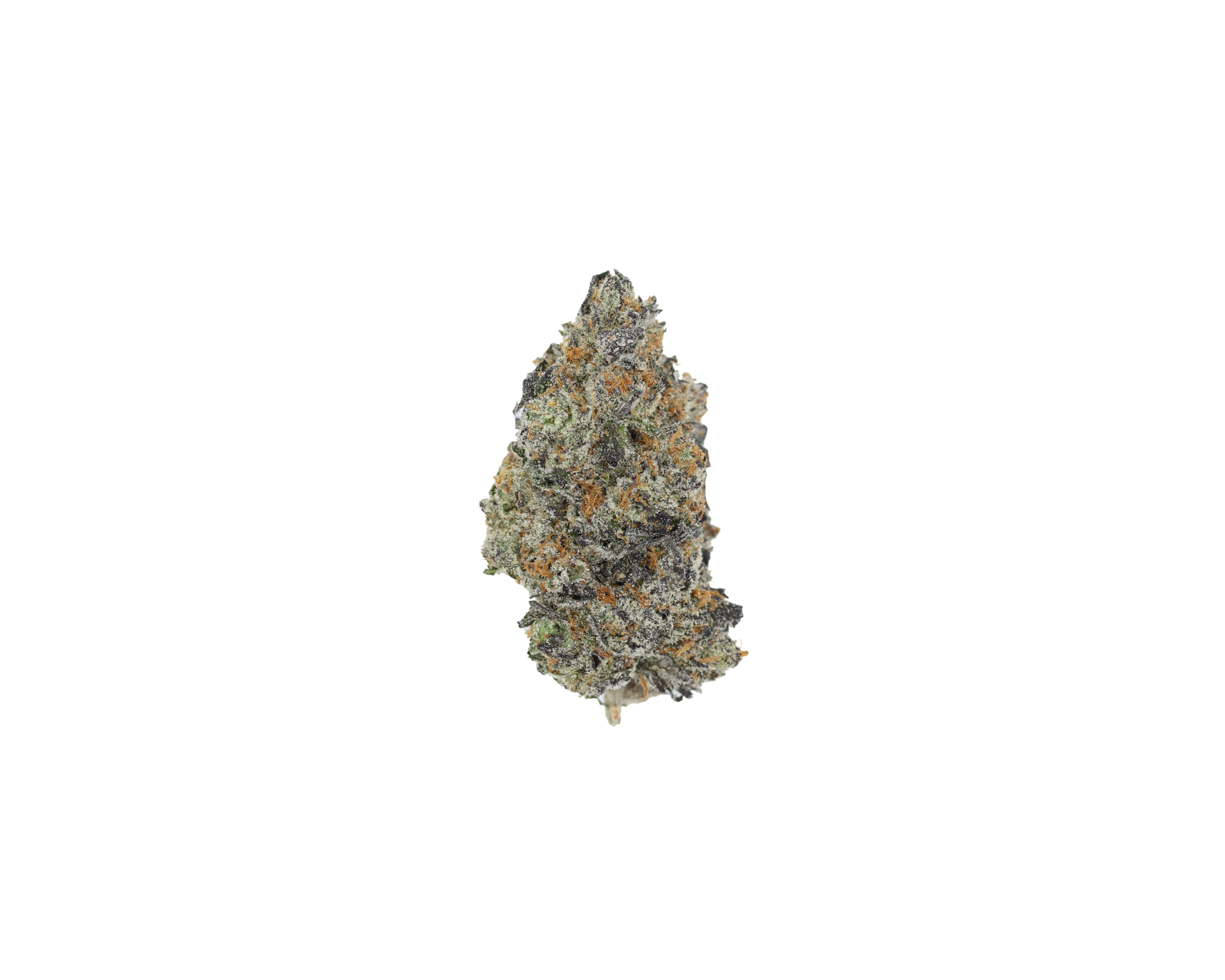 Tropaya Pie (1/2lb) Wholesale Flower Anxiety Relief Tropaya Pie (1/2lb) Wholesale Flower Anxiety Relief