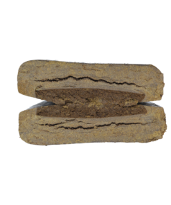 Bentley Hash Hash Bentley Hash