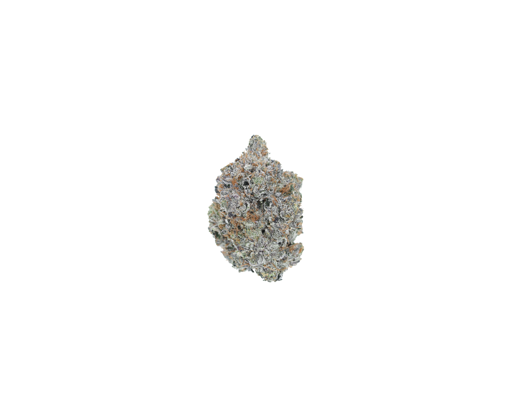 Gastown OG (1/2lb) Wholesale Flower bulk Gastown OG (1/2lb) Wholesale Flower bulk