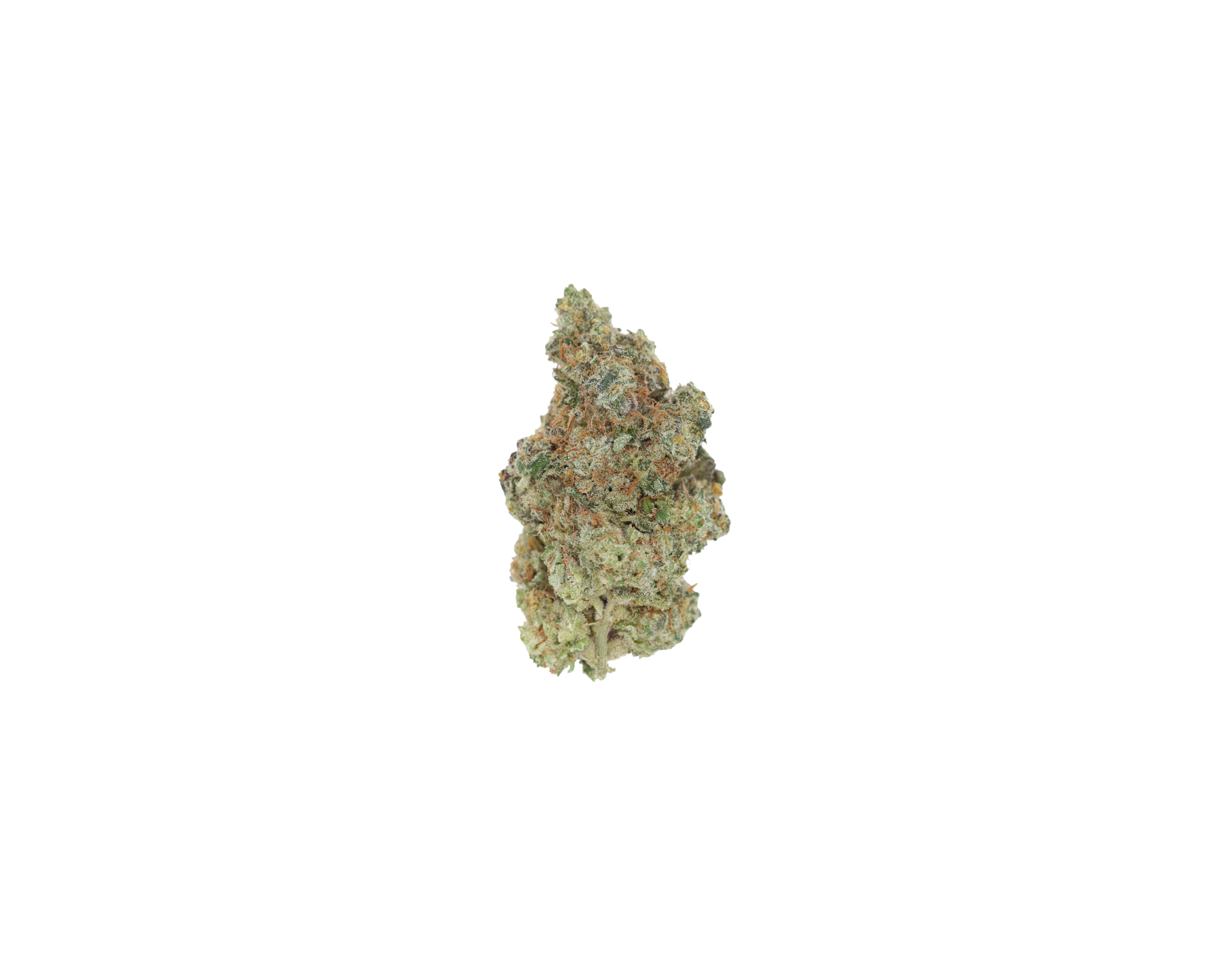 Frosted Fruitcake (1/2lb) Wholesale Flower bulk Frosted Fruitcake (1/2lb) Wholesale Flower bulk
