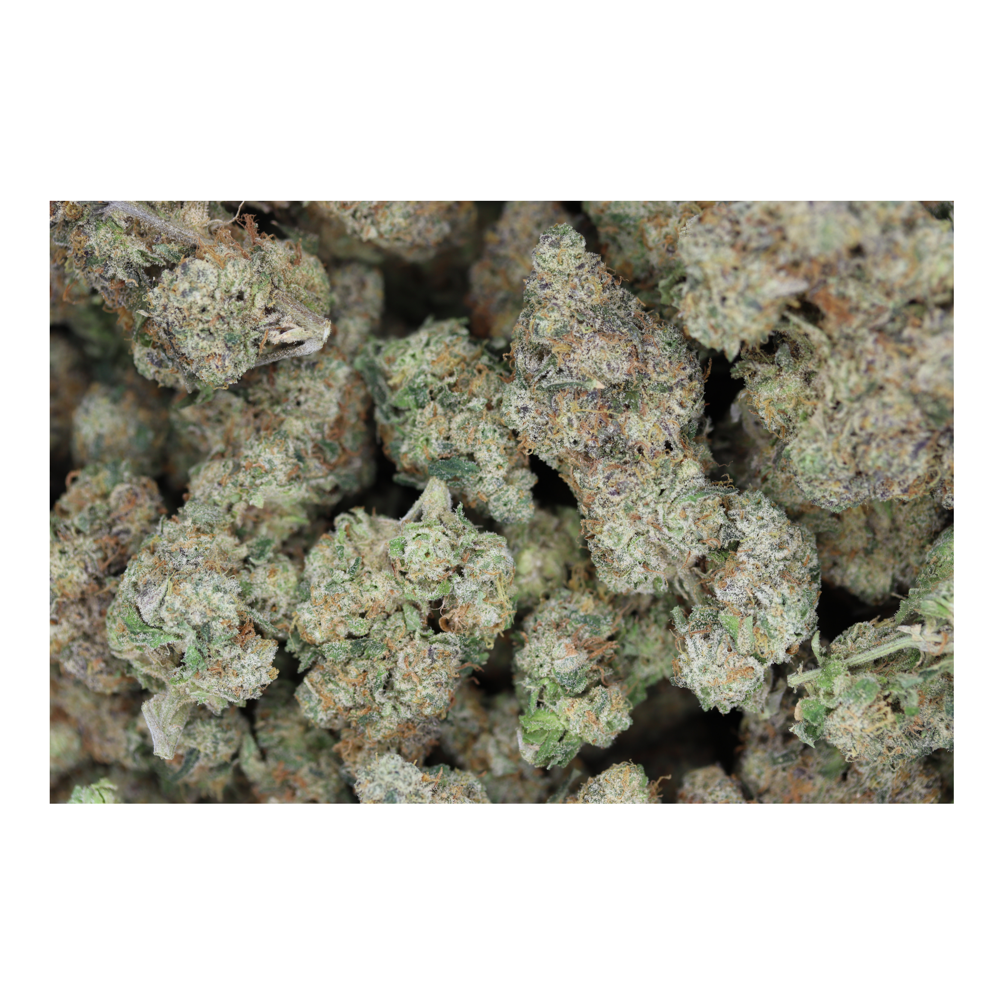 Frosted Fruitcake (1/2lb) Wholesale Flower bulk Frosted Fruitcake (1/2lb) Wholesale Flower bulk