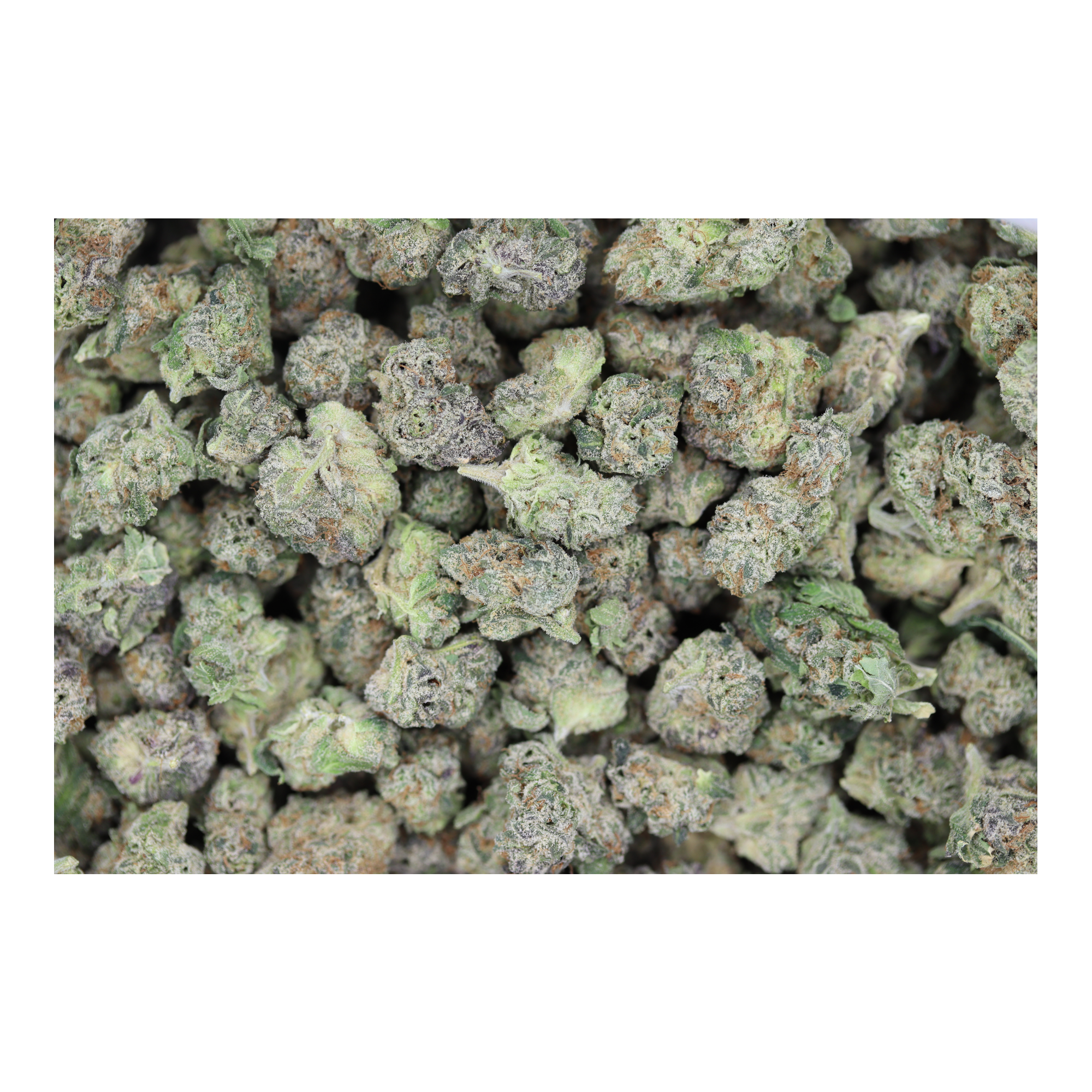 Jolly Rancher Smalls (1/2lb) Wholesale Flower bulk Jolly Rancher Smalls (1/2lb) Wholesale Flower bulk