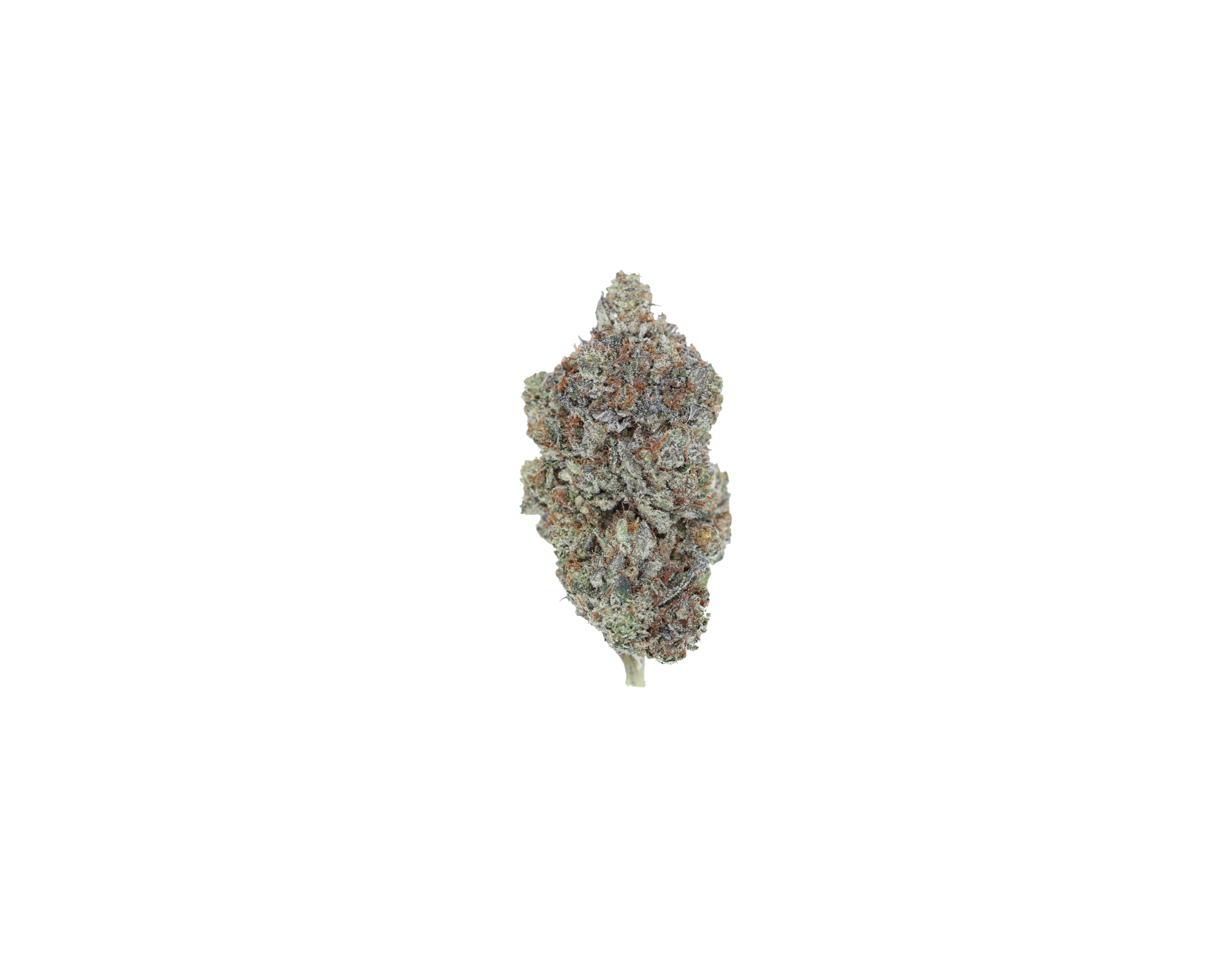OG Kush Indica Appetite Support OG Kush Indica Appetite Support