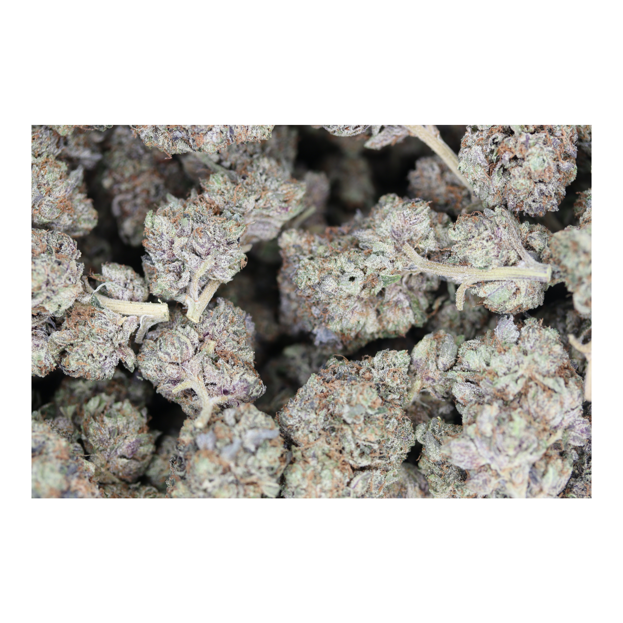 OG Kush Indica Appetite Support OG Kush Indica Appetite Support