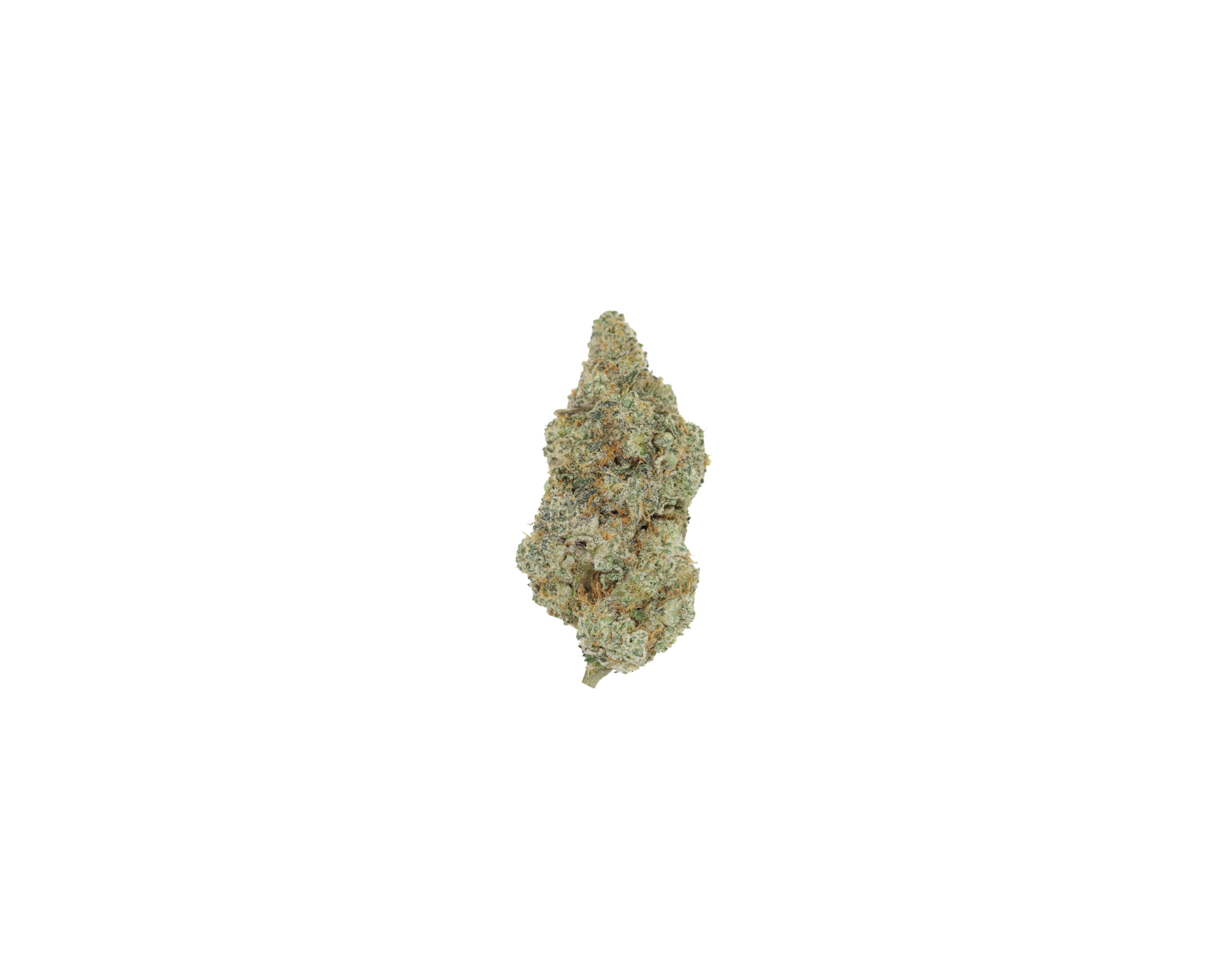 Cherry Haze Sativa Cannabis Flower Cherry Haze Sativa Cannabis Flower