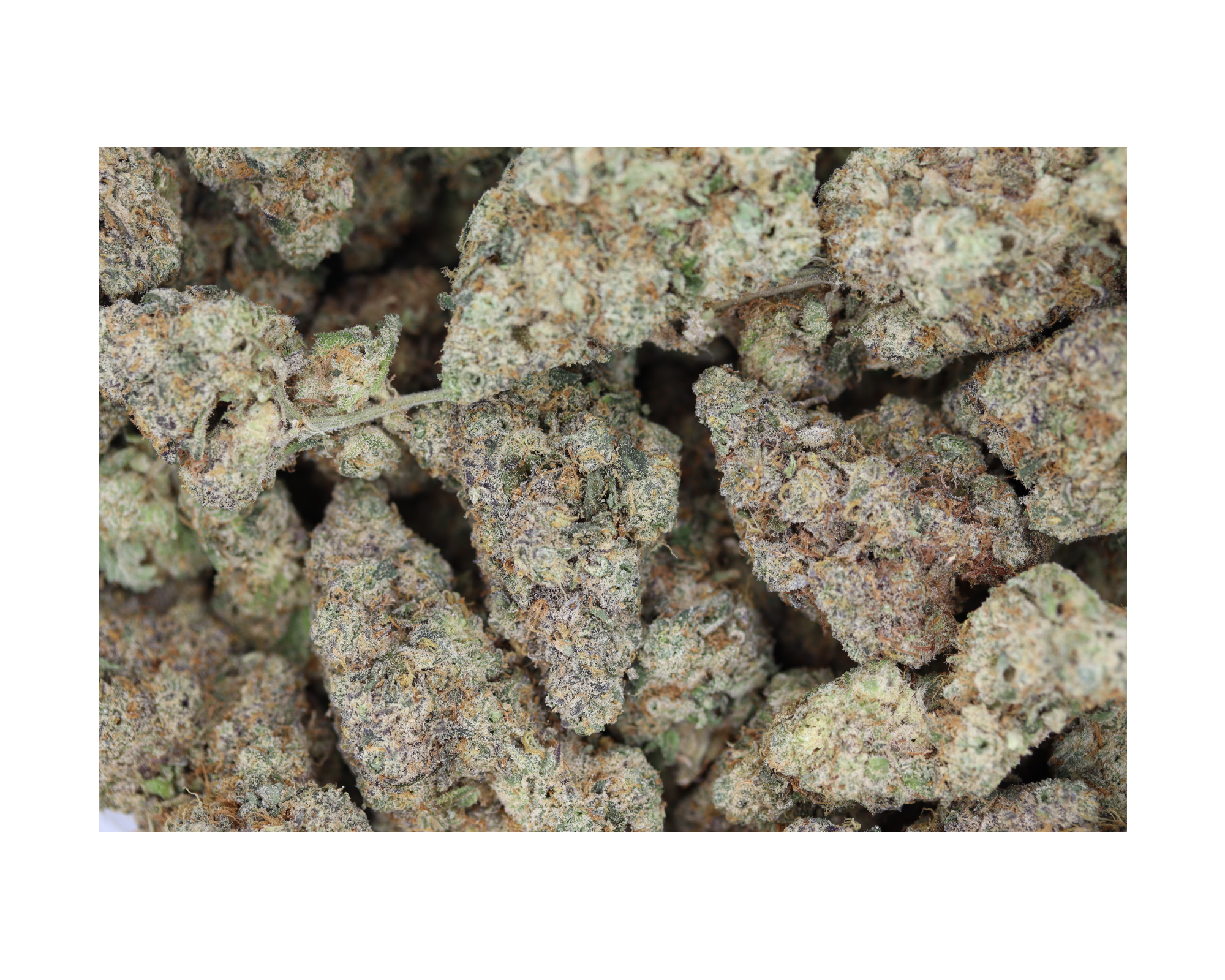 Cherry Haze Sativa Cannabis Flower Cherry Haze Sativa Cannabis Flower