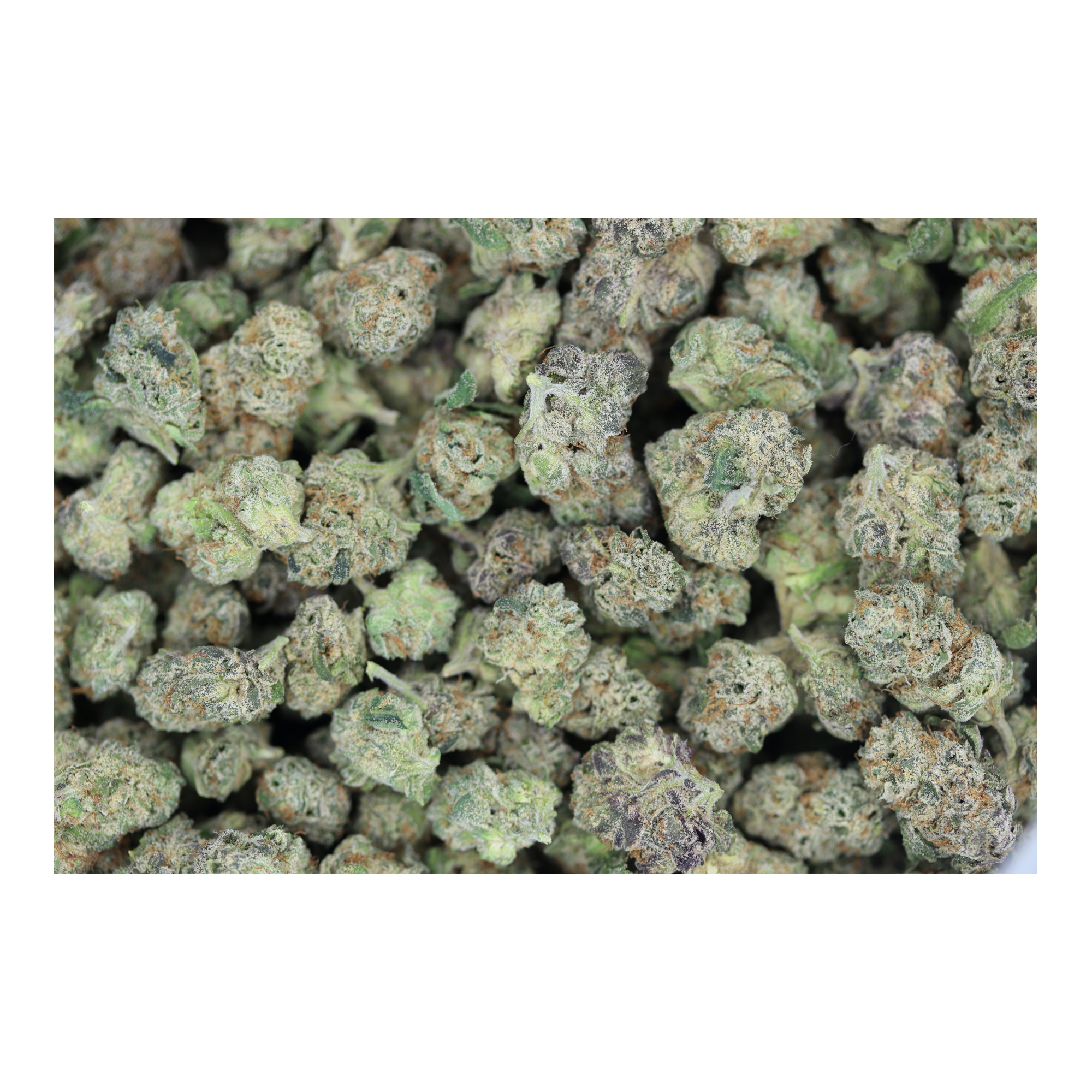 Fruit Loops Smalls (1/2lb) Wholesale Flower bulk Fruit Loops Smalls (1/2lb) Wholesale Flower bulk